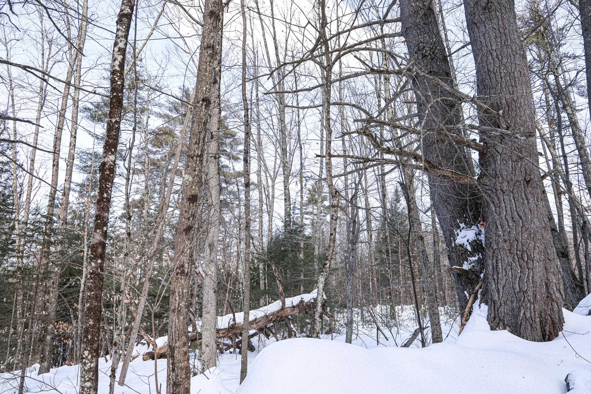 MLS #5029262 image #10