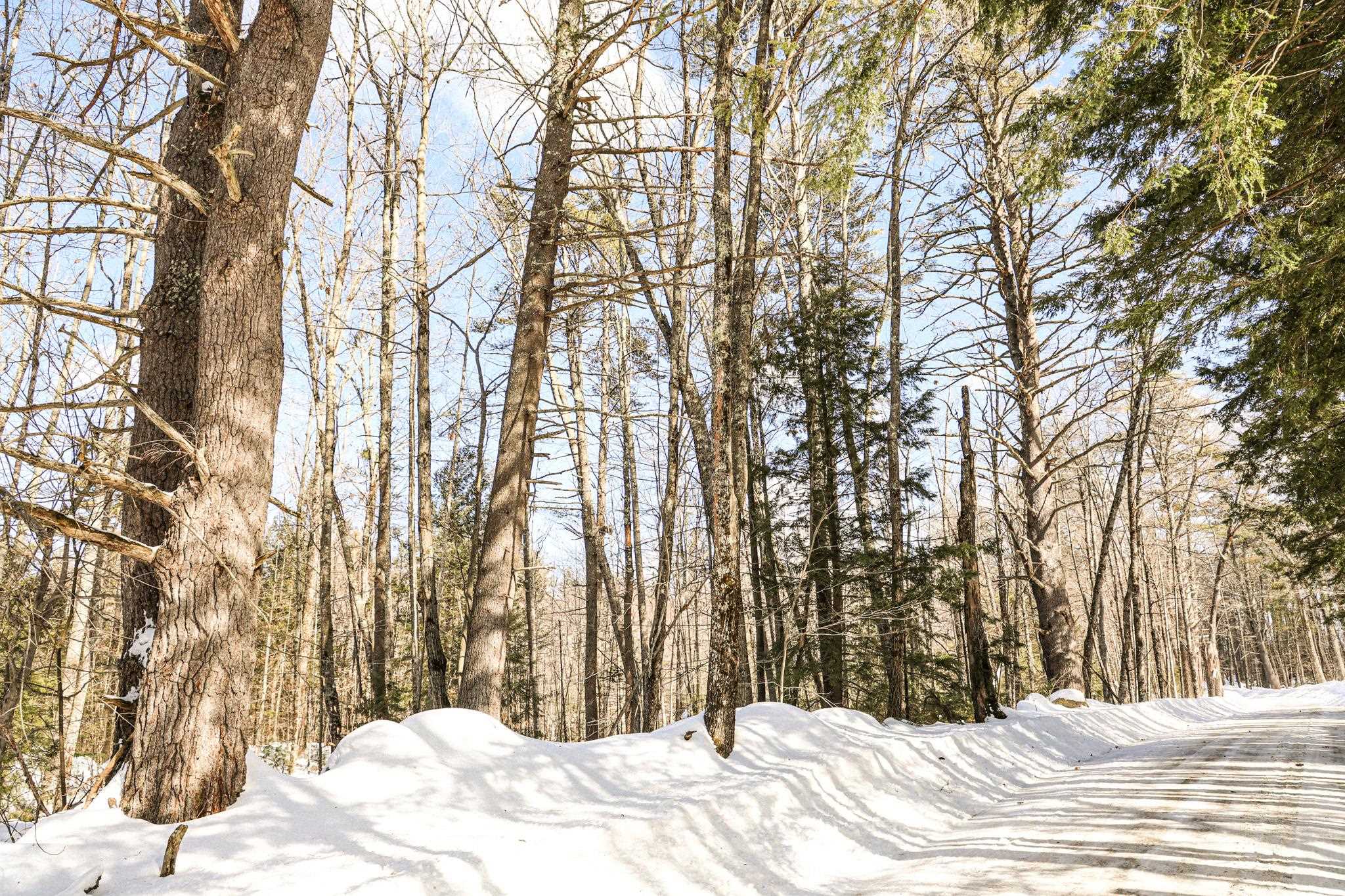 MLS #5029262 image #11