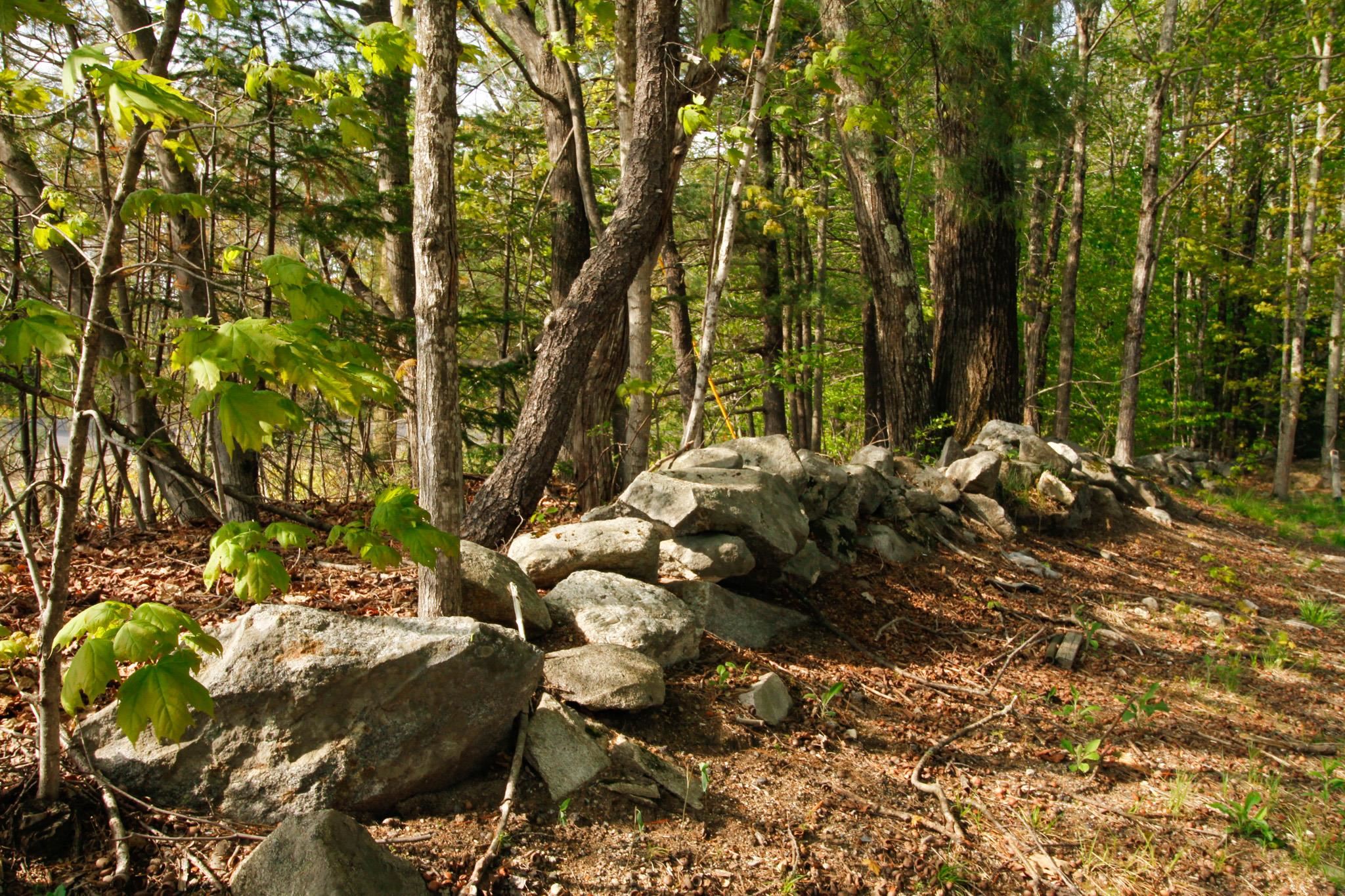 MLS #5029262 image #2