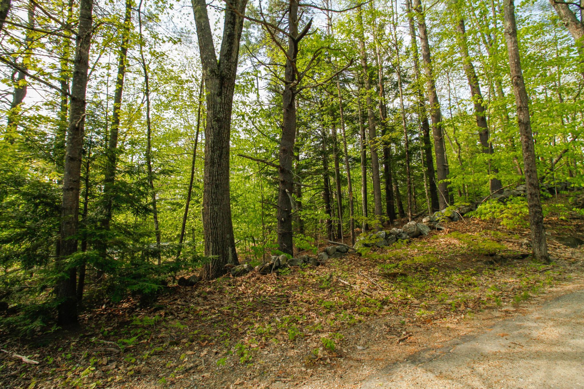 MLS #5029262 image #4