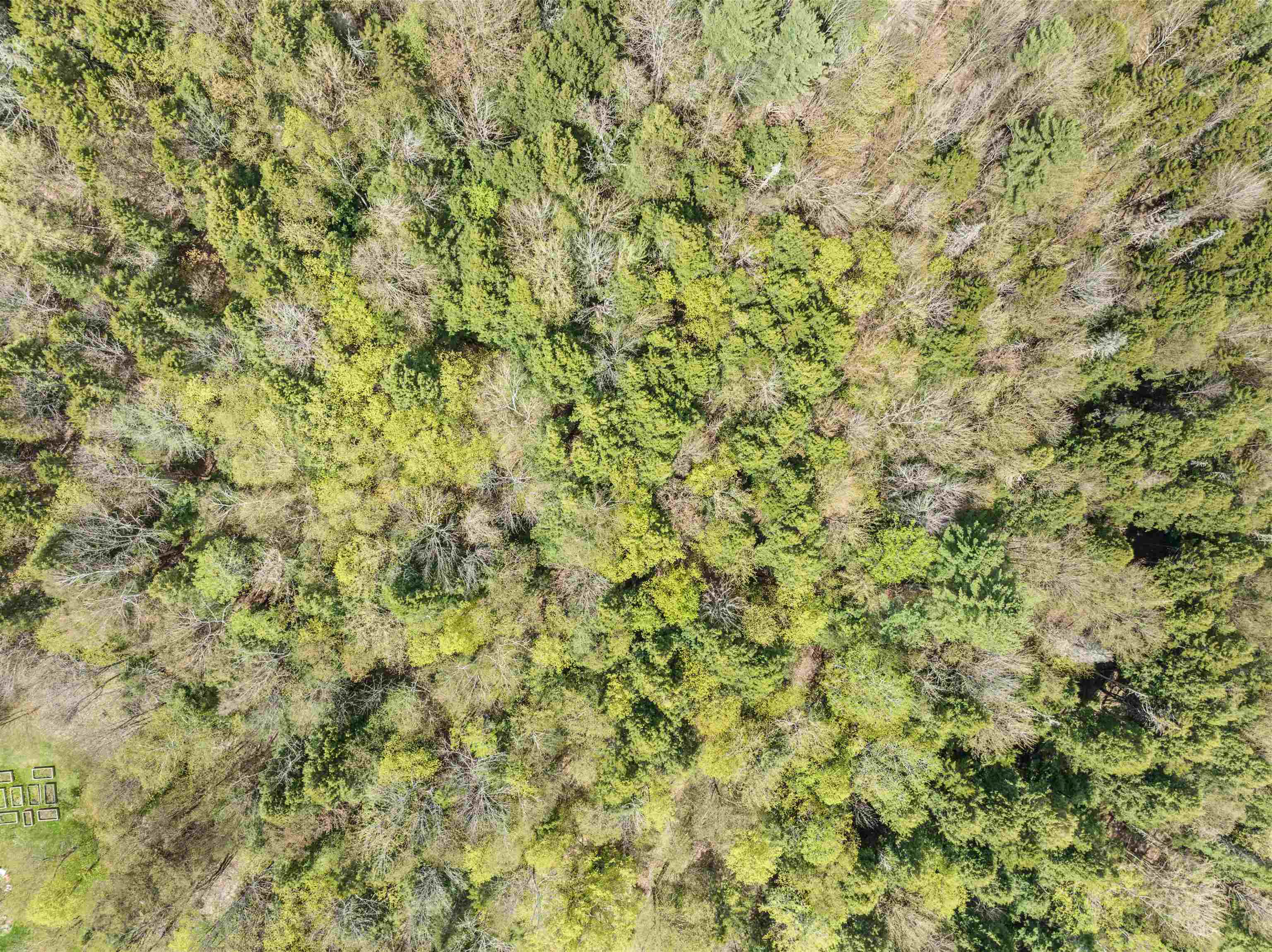 Homes for sale in Morristown, VT | 932 Mud City Loop, Morristown, VT 05661 | MLS# 5029435