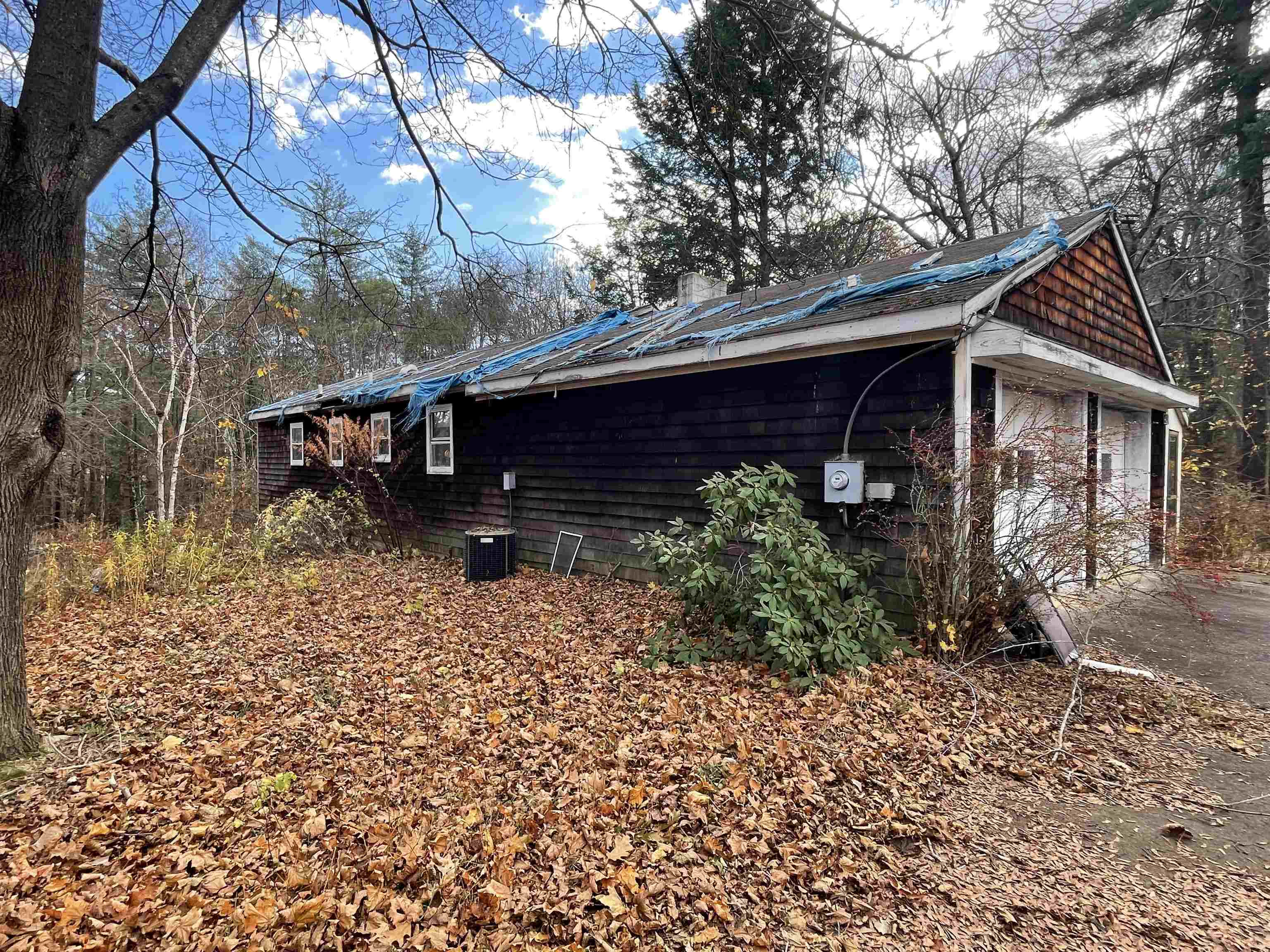 MLS #5029477 image #1