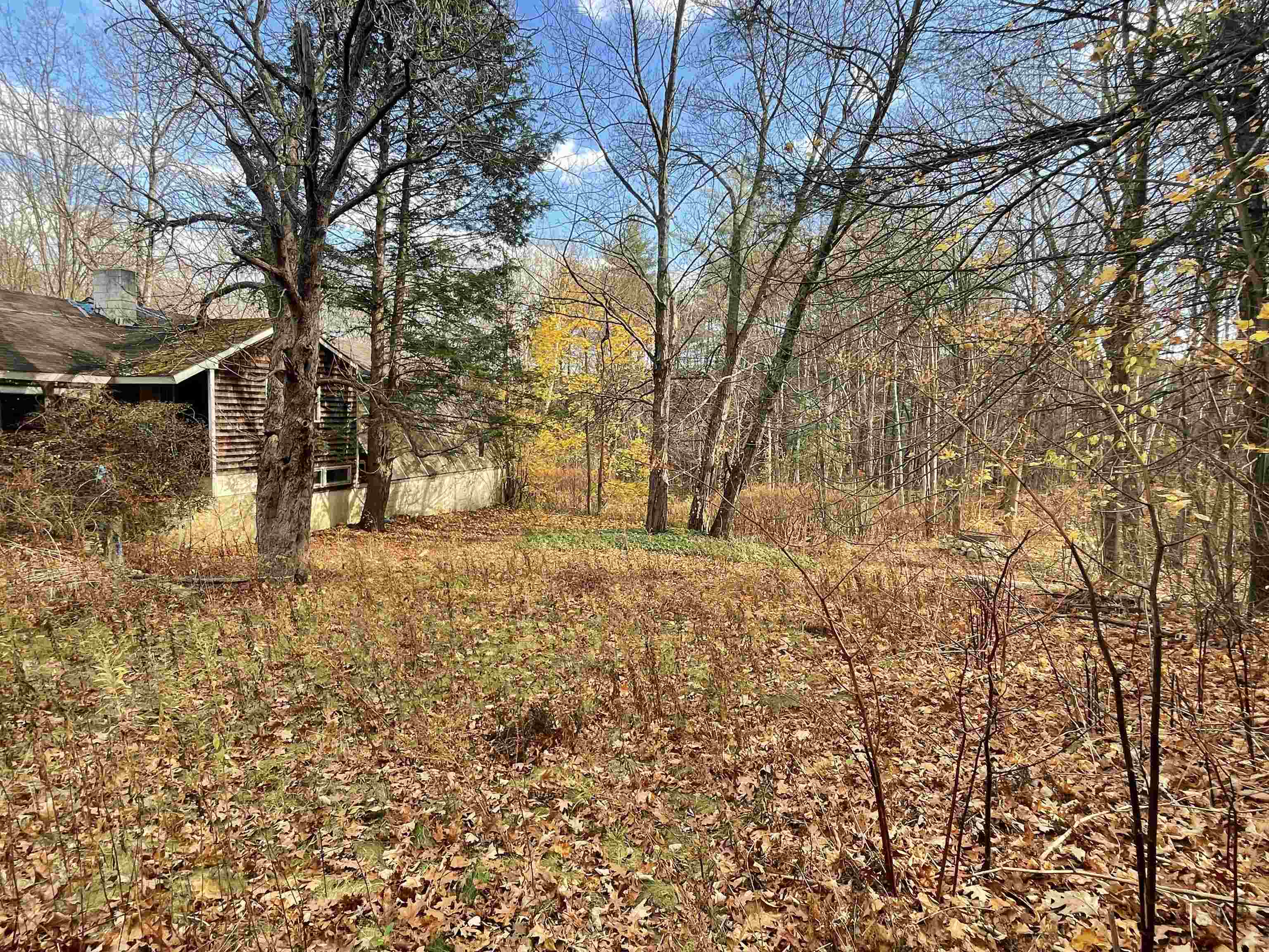 MLS #5029477 image #2