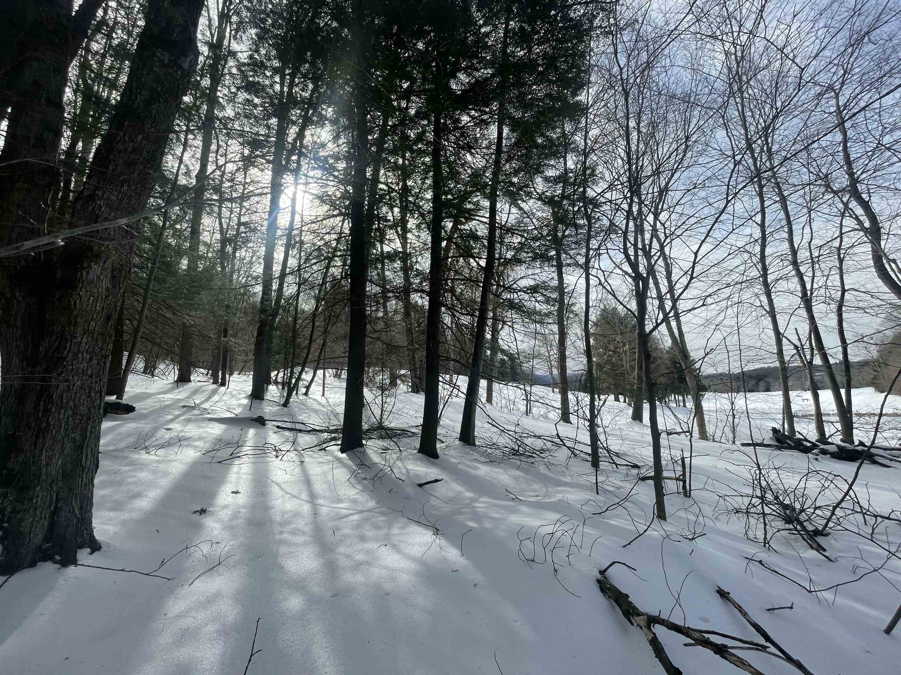 Homes for sale in Manchester, VT | 530 Finbars Forest Rd, Manchester, VT 05255 | MLS# 5029495