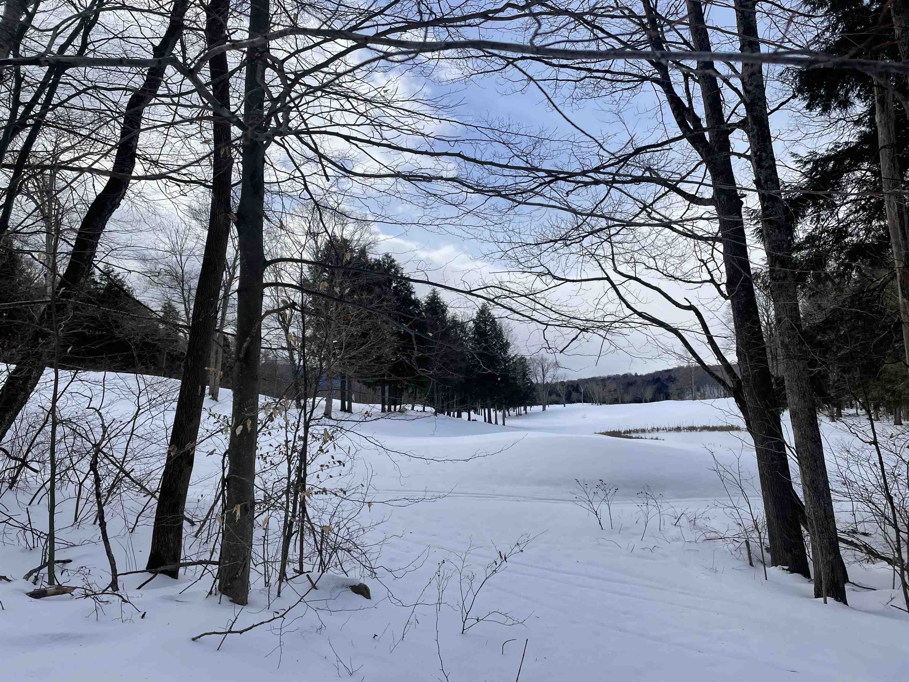 Homes for sale in Manchester, VT | 530 Finbars Forest Rd, Manchester, VT 05255 | MLS# 5029495