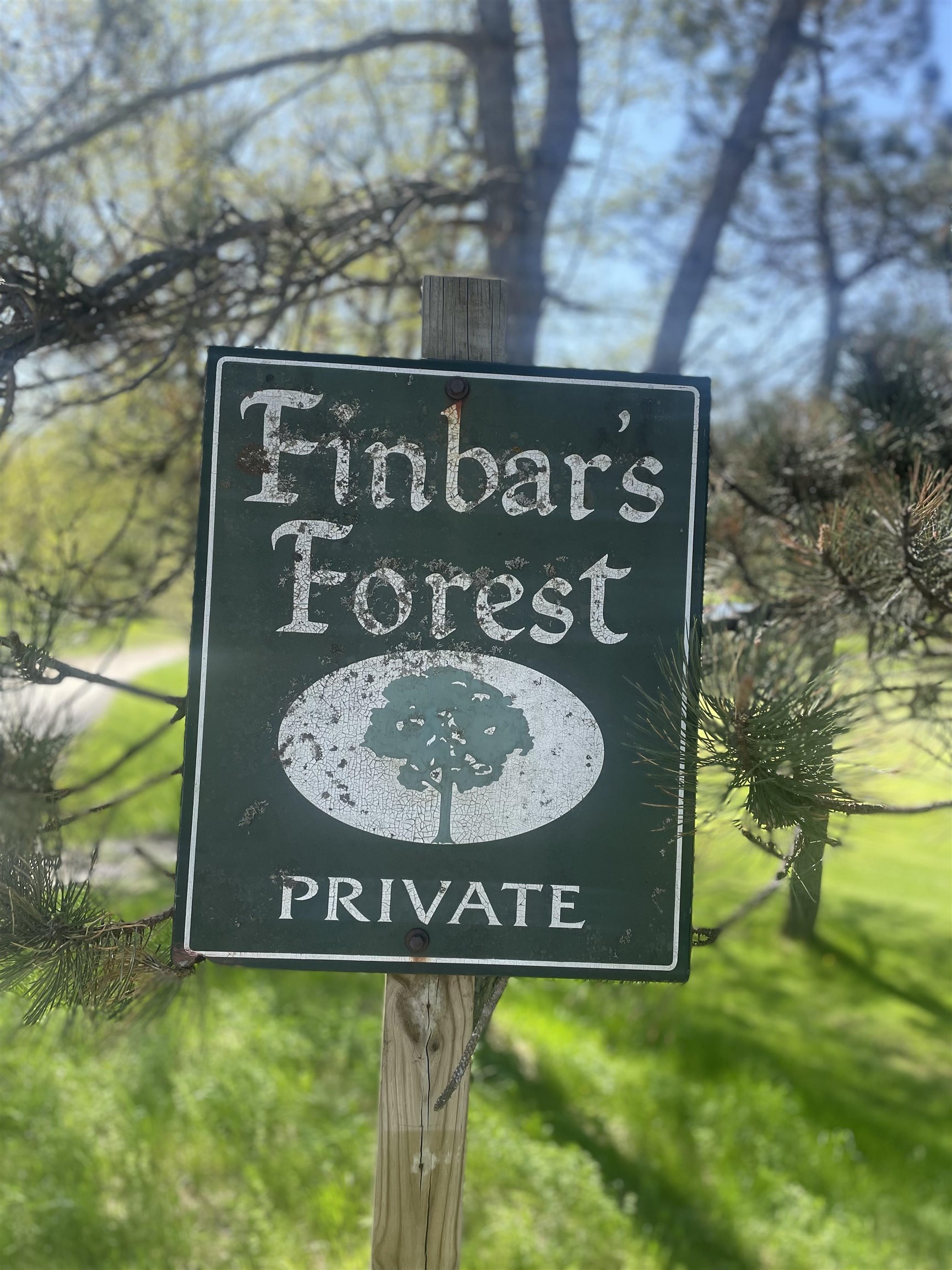 Homes for sale in Manchester, VT | 530 Finbars Forest Rd, Manchester, VT 05255 | MLS# 5029495