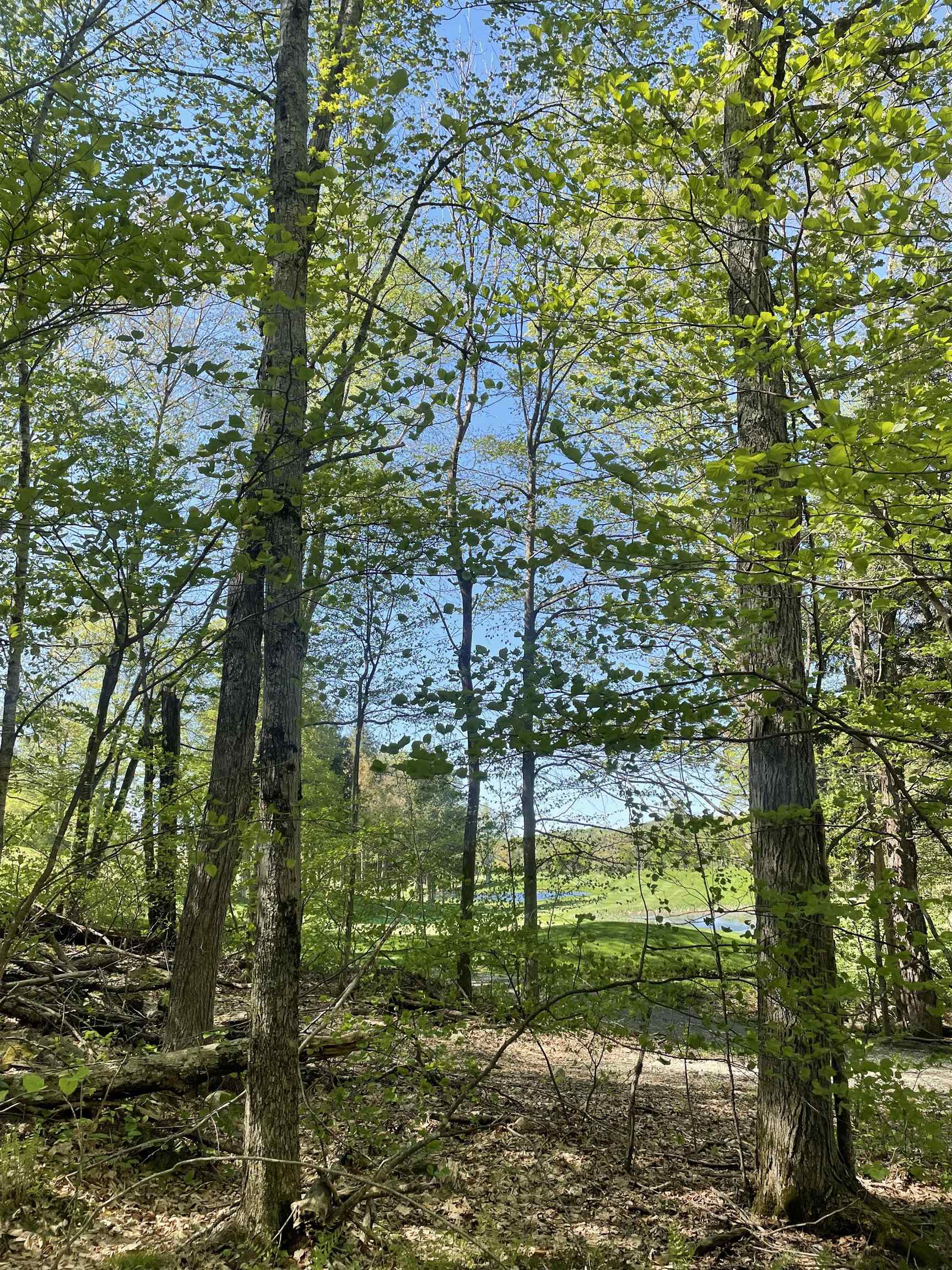 Homes for sale in Manchester, VT | 530 Finbars Forest Rd, Manchester, VT 05255 | MLS# 5029495