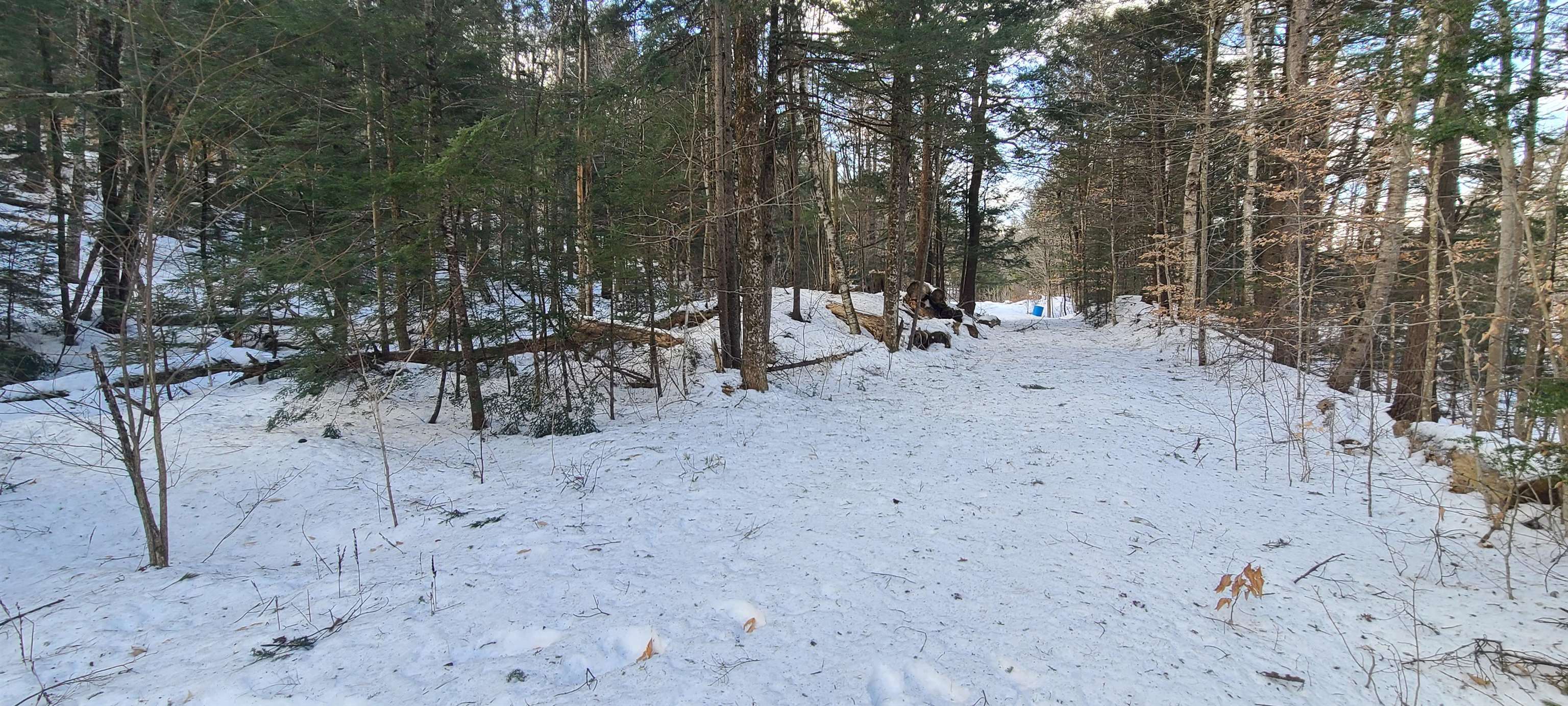 Homes for sale in Jamaica, VT | 8559 Vt Route 30, Jamaica, VT 05343 | MLS# 5029543