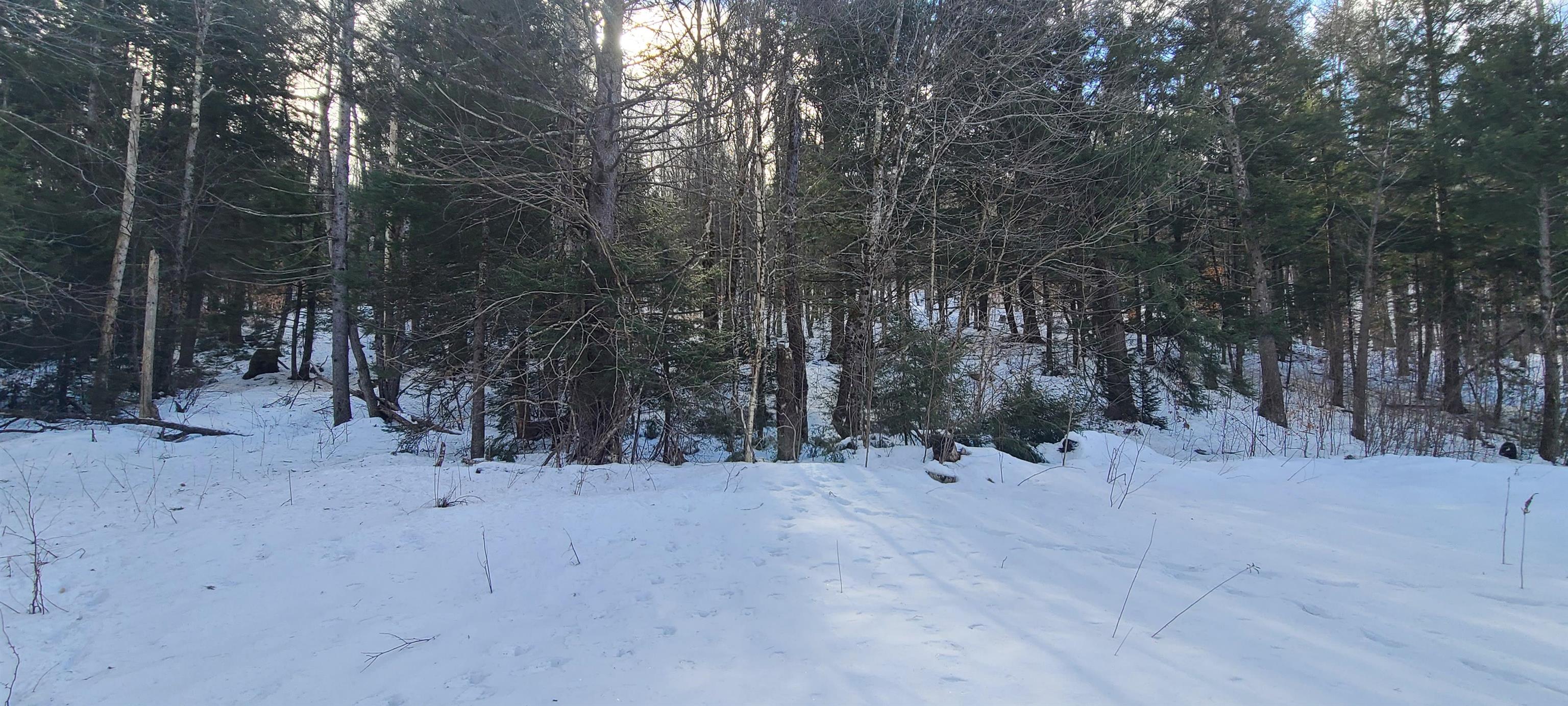 Homes for sale in Jamaica, VT | 8559 Vt Route 30, Jamaica, VT 05343 | MLS# 5029543