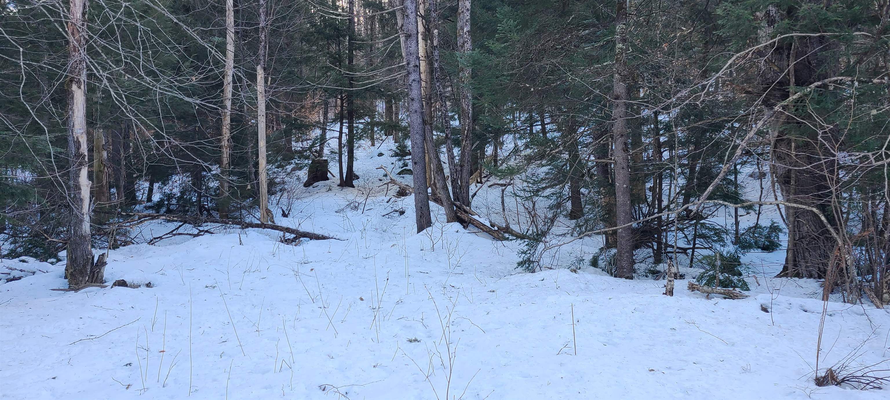 Homes for sale in Jamaica, VT | 8559 Vt Route 30, Jamaica, VT 05343 | MLS# 5029543