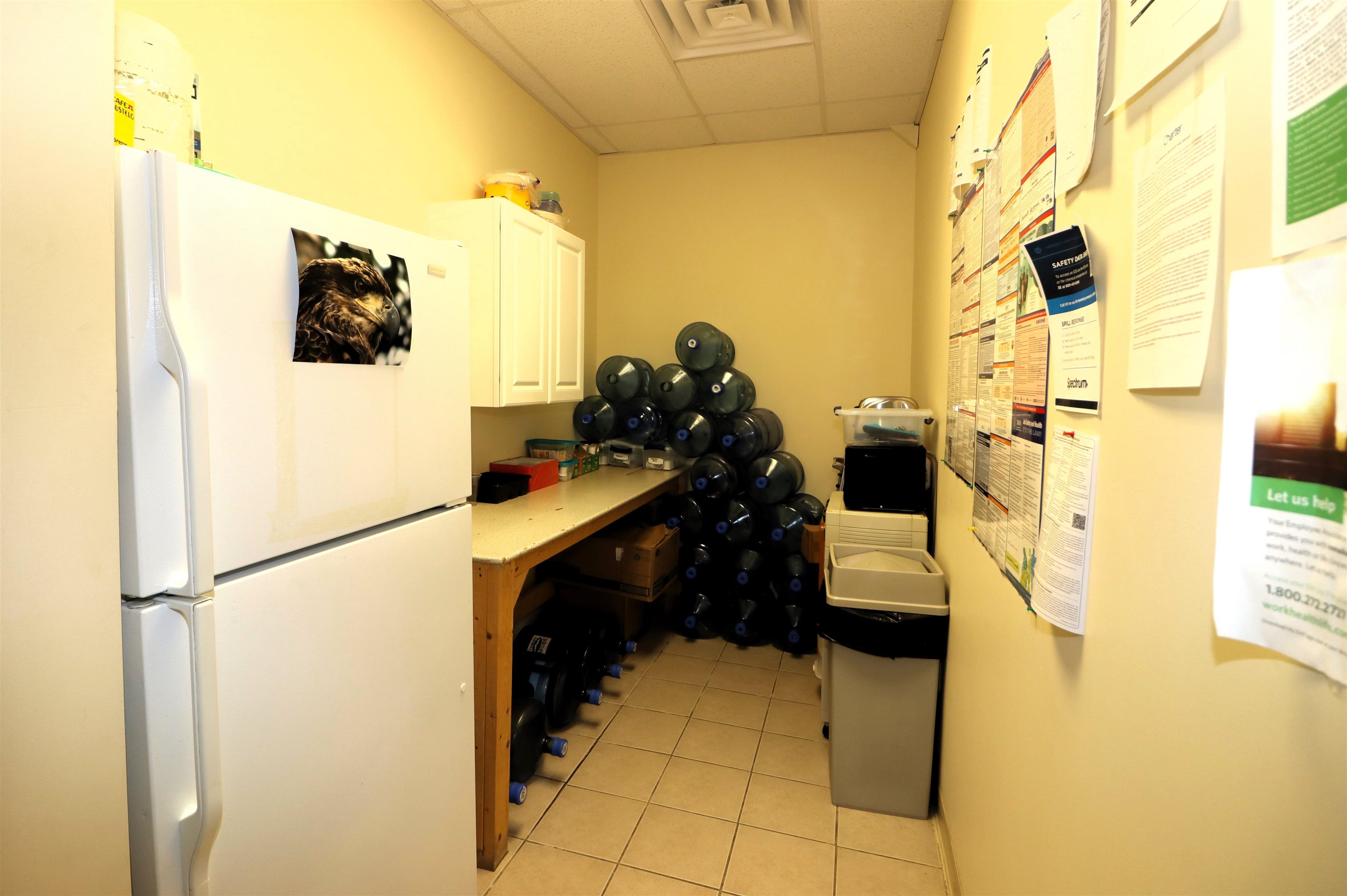 MLS #5029574 image #7