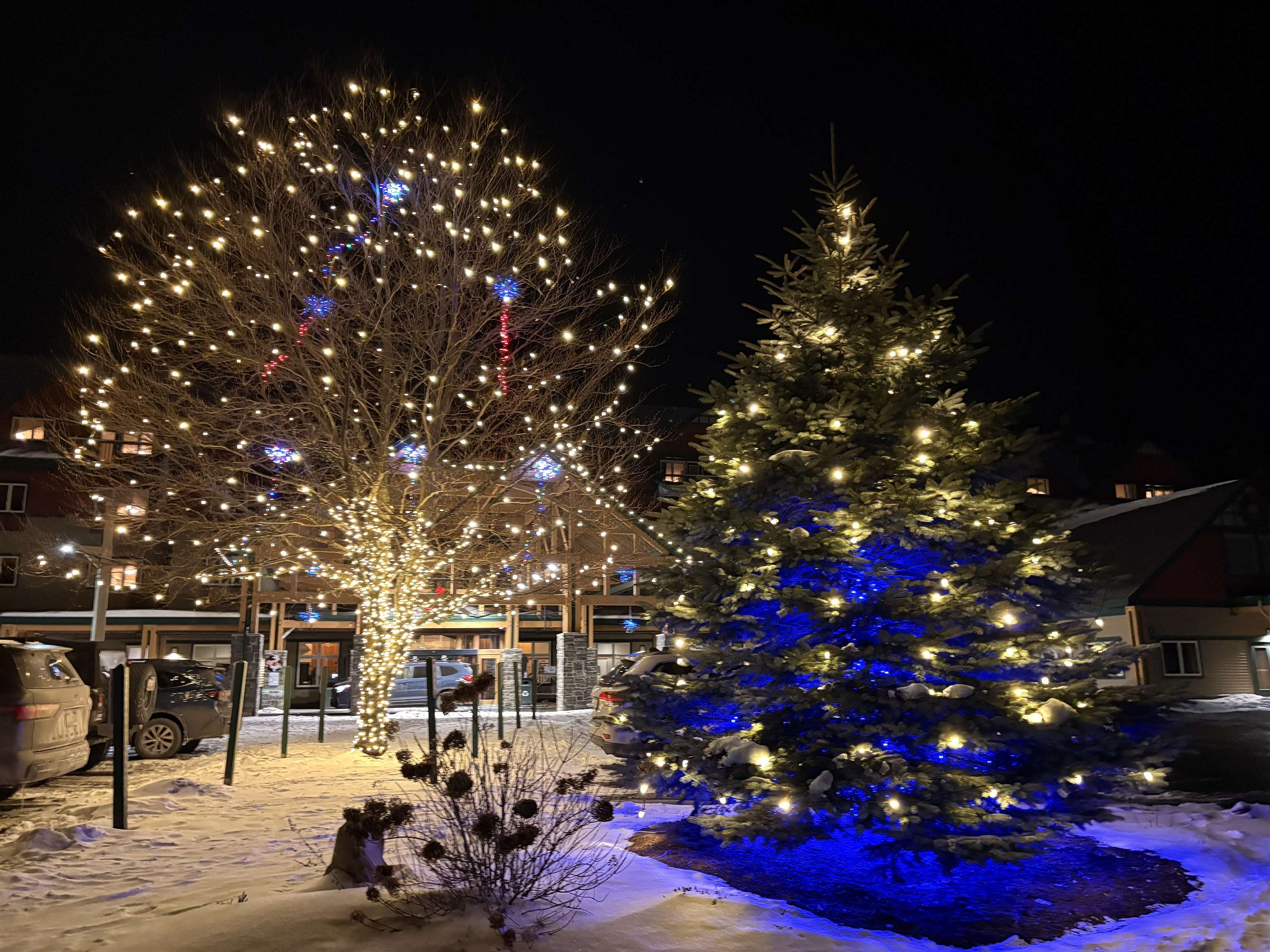 Homes for sale in Dover, VT | 103/05 Qtr1,89 Grand Summit Way, Dover, VT 05356 | MLS# 5029600