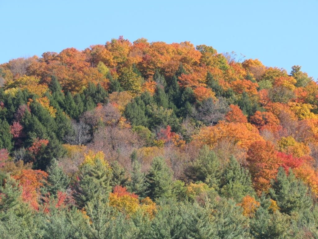 Homes for sale in Stockbridge, VT | 00 Blackmer Blvd, Stockbridge, VT 05772 | MLS# 5029672