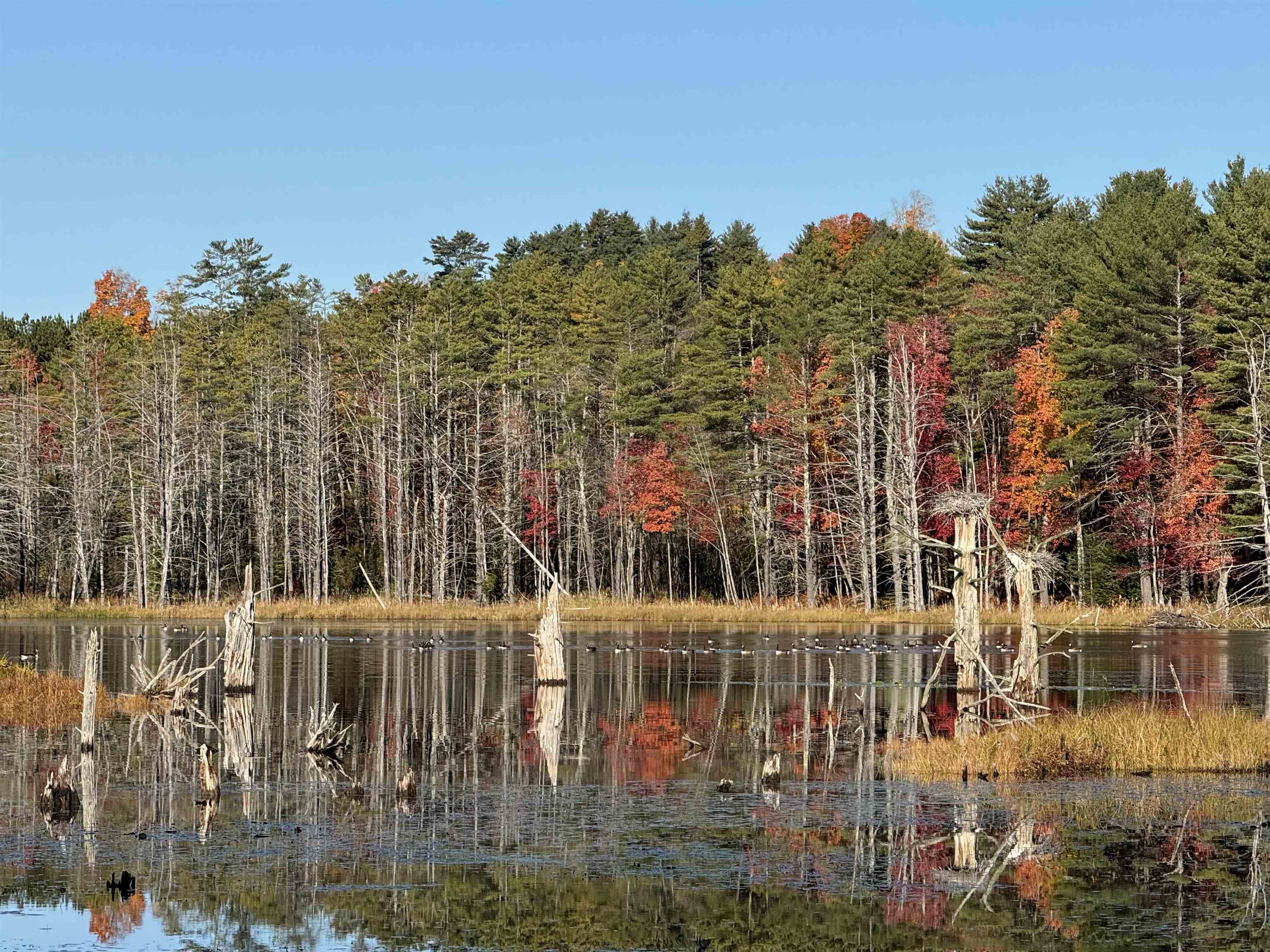 SUTTON NH LAND  for sale $$439,000 | 14.7 Acres  | Price Per Acre $0