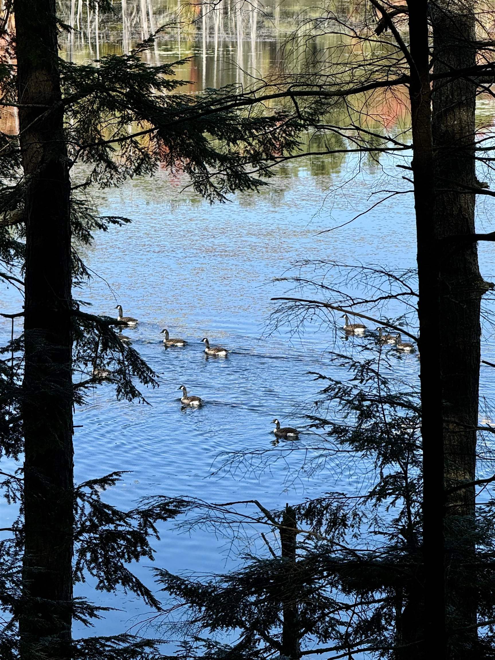 Homes for sale in Sutton, NH | 555 Shaker Rd, Sutton, NH 03260 | MLS# 5029792