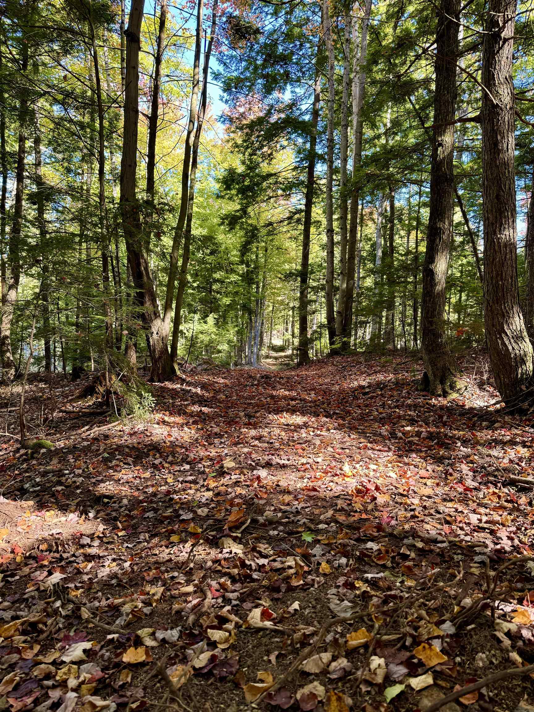 Homes for sale in Sutton, NH | 555 Shaker Rd, Sutton, NH 03260 | MLS# 5029792