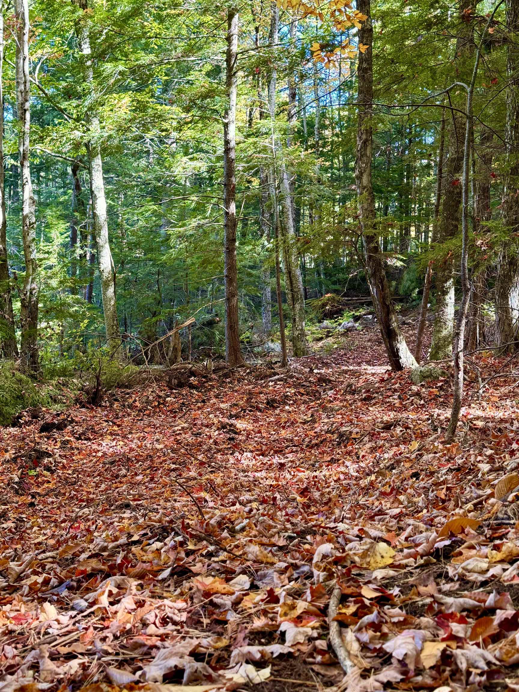 Homes for sale in Sutton, NH | 555 Shaker Rd, Sutton, NH 03260 | MLS# 5029792