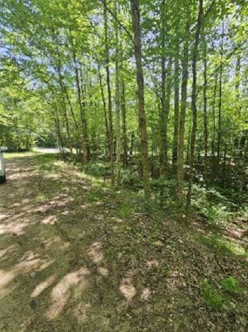 MLS #5029940 image #2