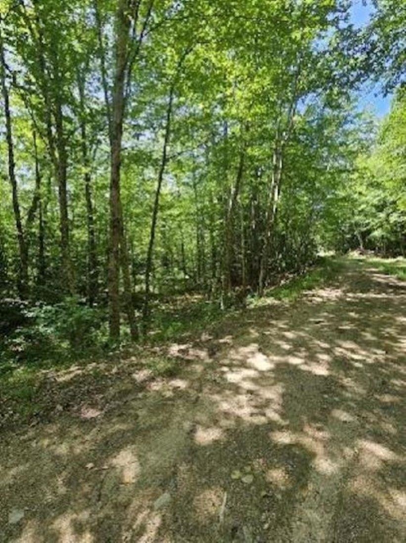 MLS #5029940 image #3