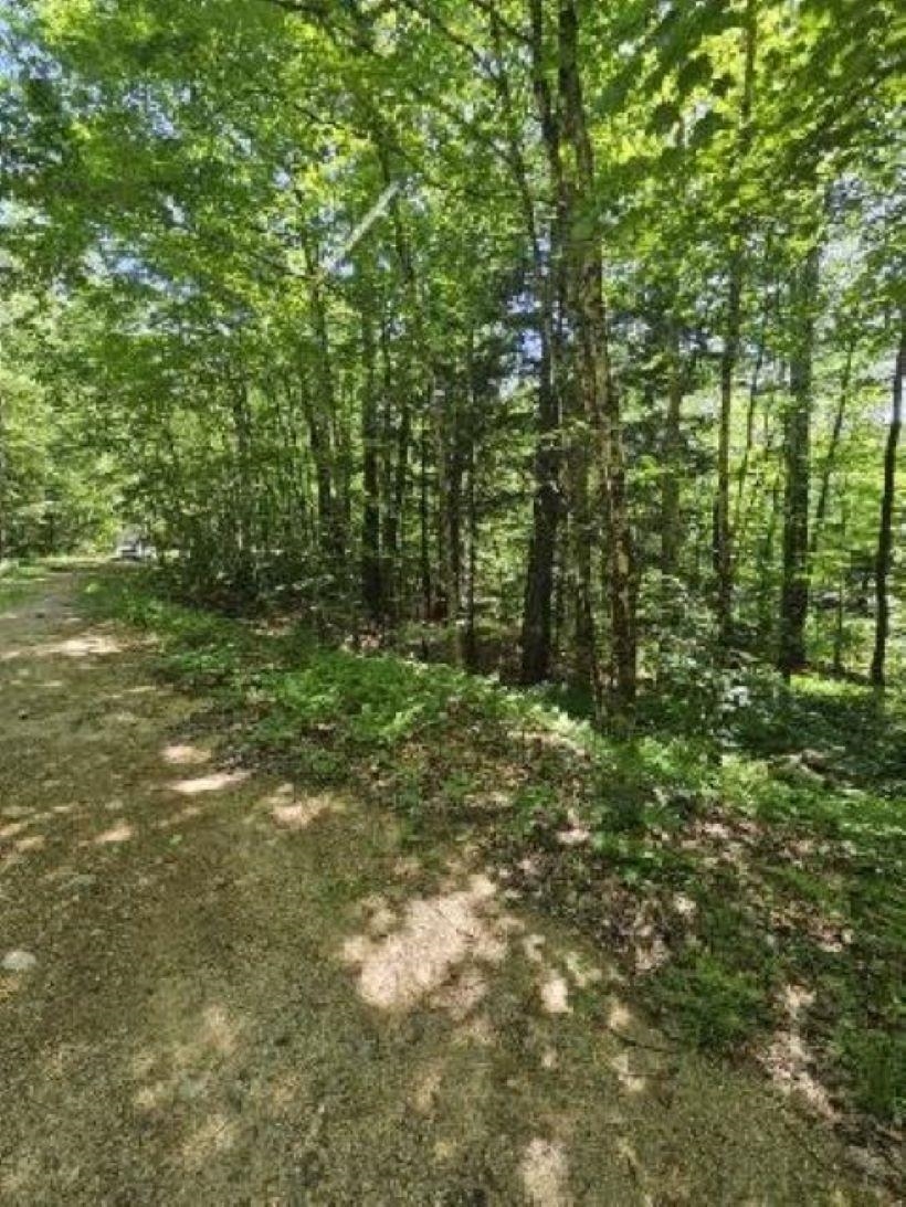 MLS #5029940 image #4