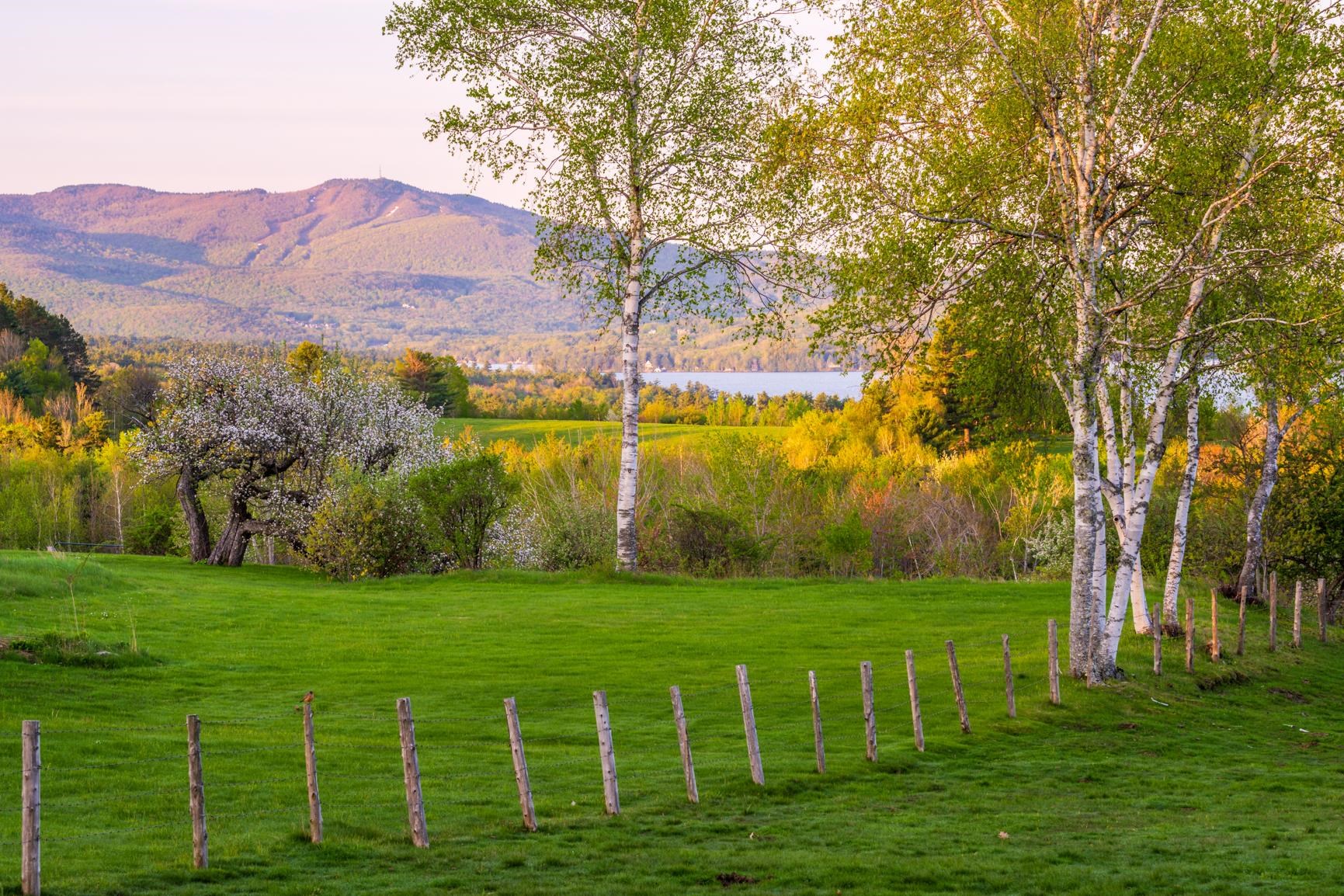 Mt. Sunapee from Burpee Hill 22737905