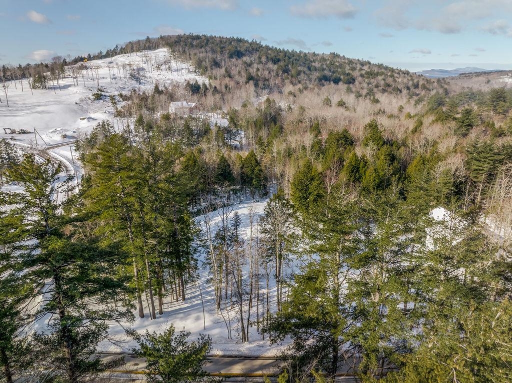 Blueberry Hill 22737771