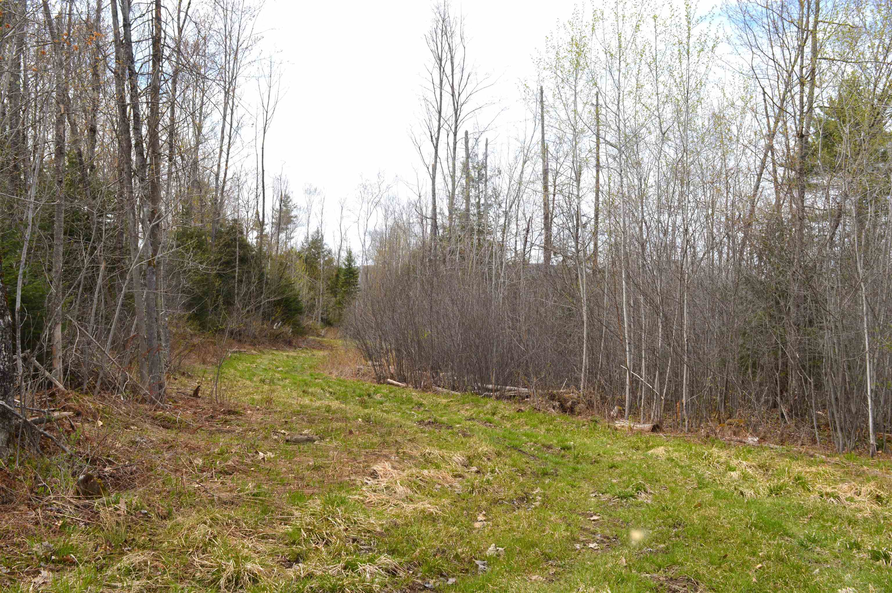 Homes for sale in Newport, NH | 428 Maple St, Newport, NH 03773 | MLS# 5030319