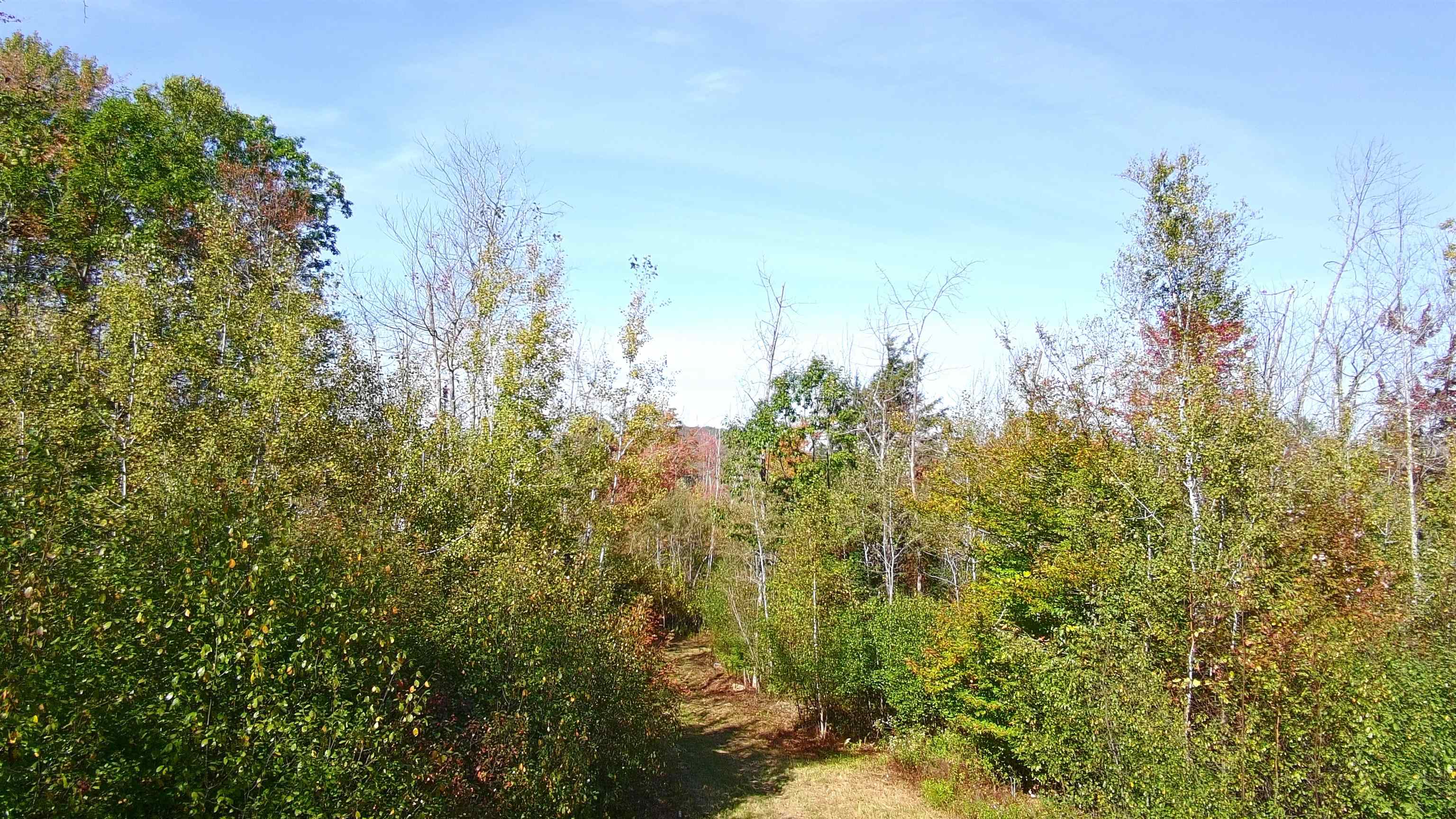 Homes for sale in Newport, NH | 428 Maple St, Newport, NH 03773 | MLS# 5030319