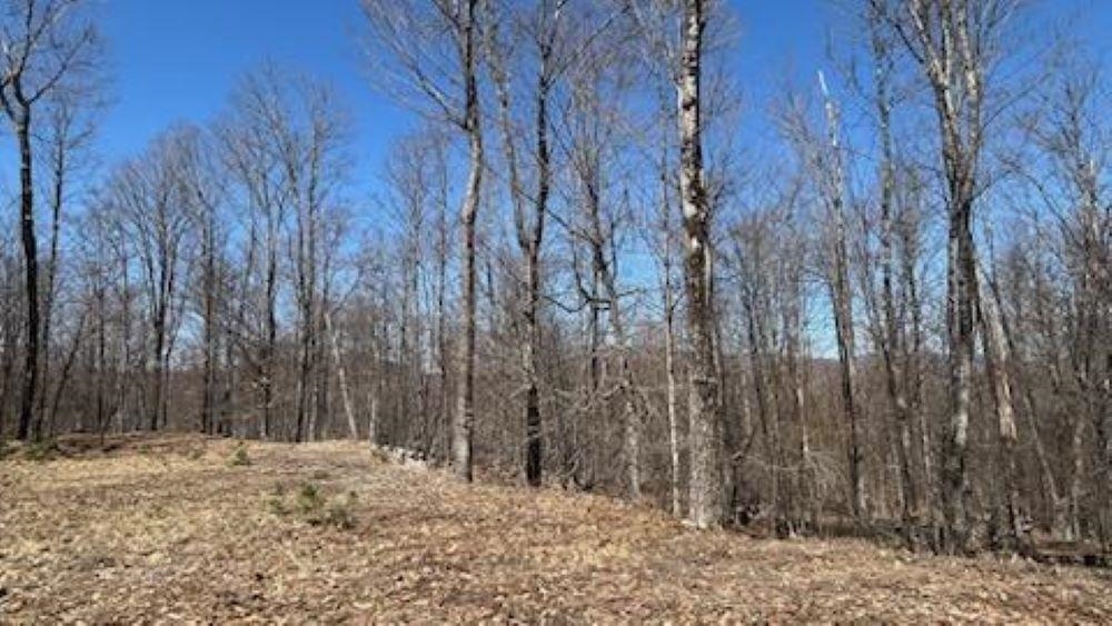 Homes for sale in Plymouth, VT | 1376 Kingdom Rd, Plymouth, VT 05056 | MLS# 5030329