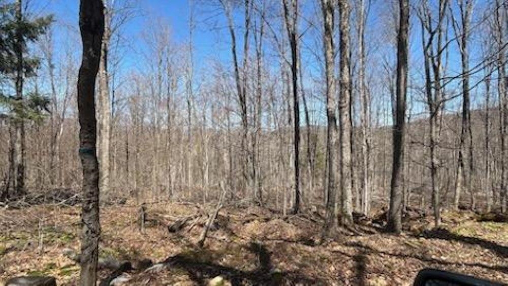 Homes for sale in Plymouth, VT | 1376 Kingdom Rd, Plymouth, VT 05056 | MLS# 5030329