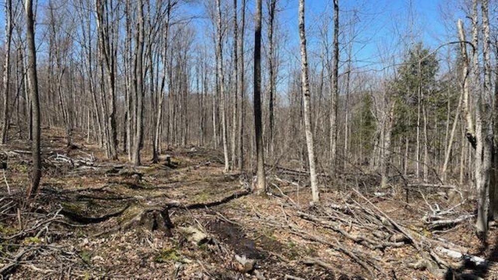 Homes for sale in Plymouth, VT | 1376 Kingdom Rd, Plymouth, VT 05056 | MLS# 5030329