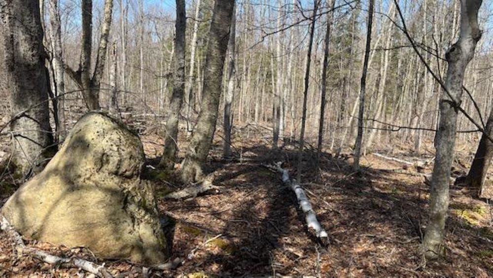 Homes for sale in Plymouth, VT | 1376 Kingdom Rd, Plymouth, VT 05056 | MLS# 5030329