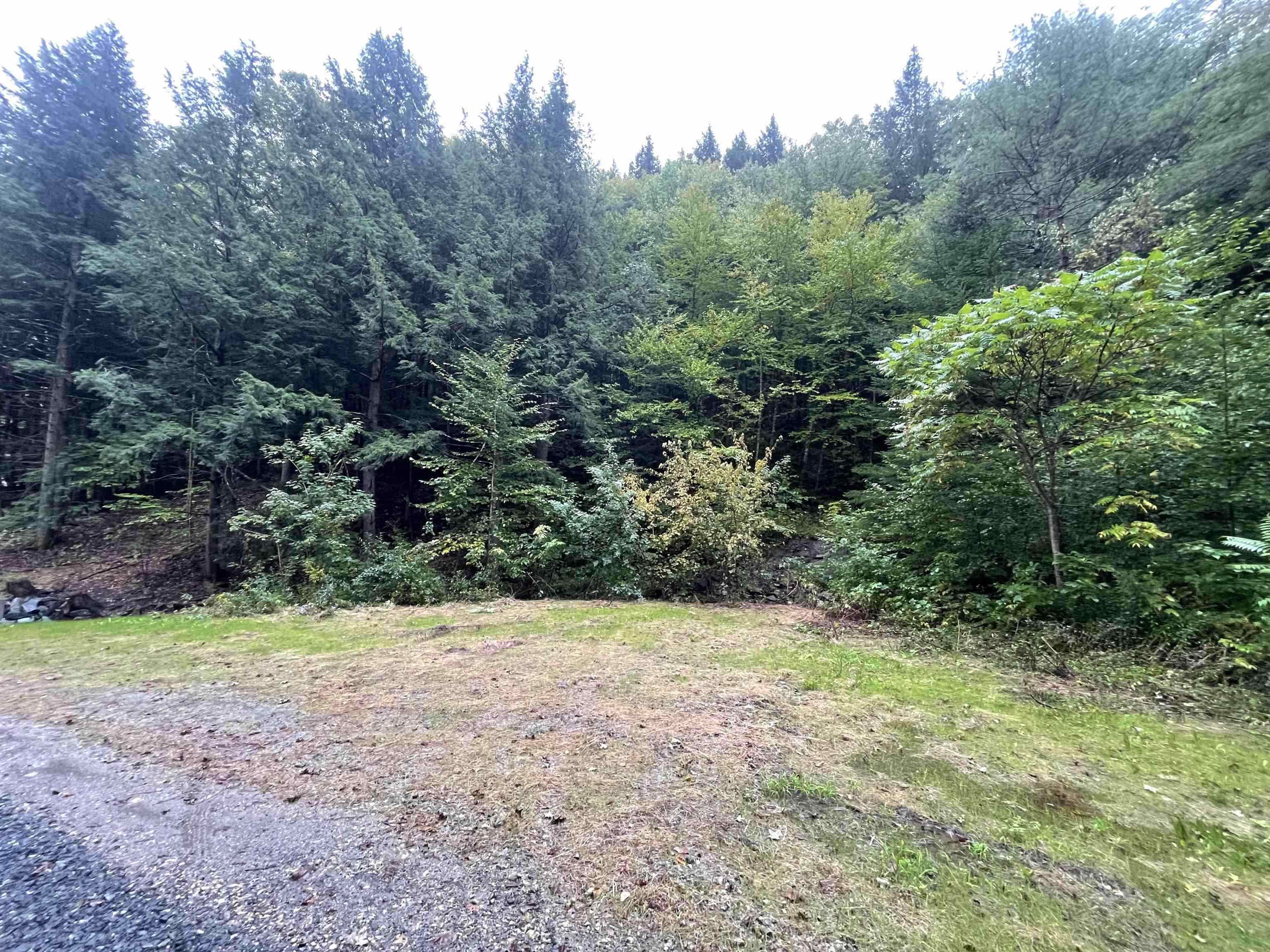 Homes for sale in Grafton, VT | 667 Hinkley Brook Rd, Grafton, VT 05146 | MLS# 5030336