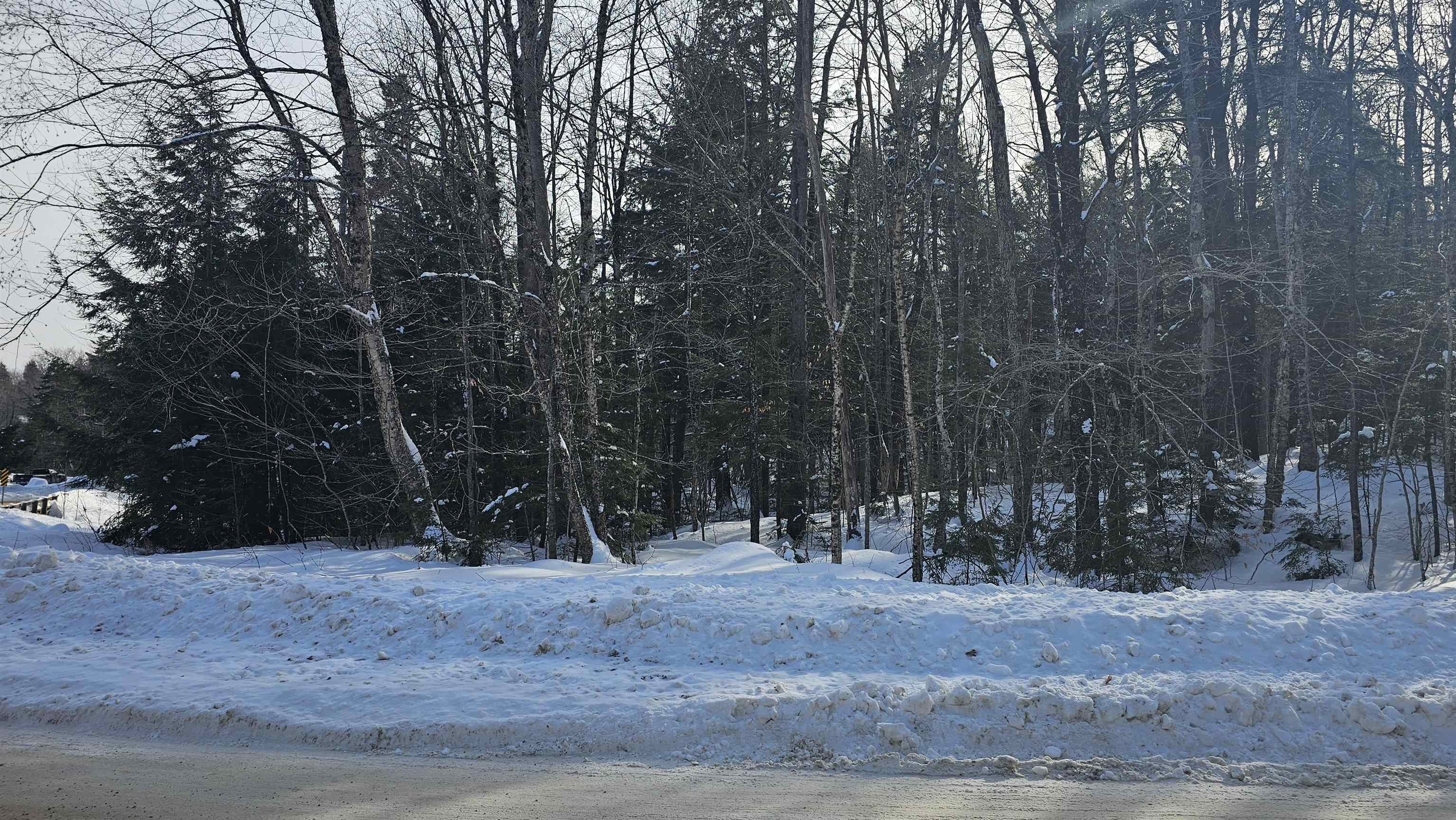 Photo of M24 L22 Valley Road Washington NH 03280