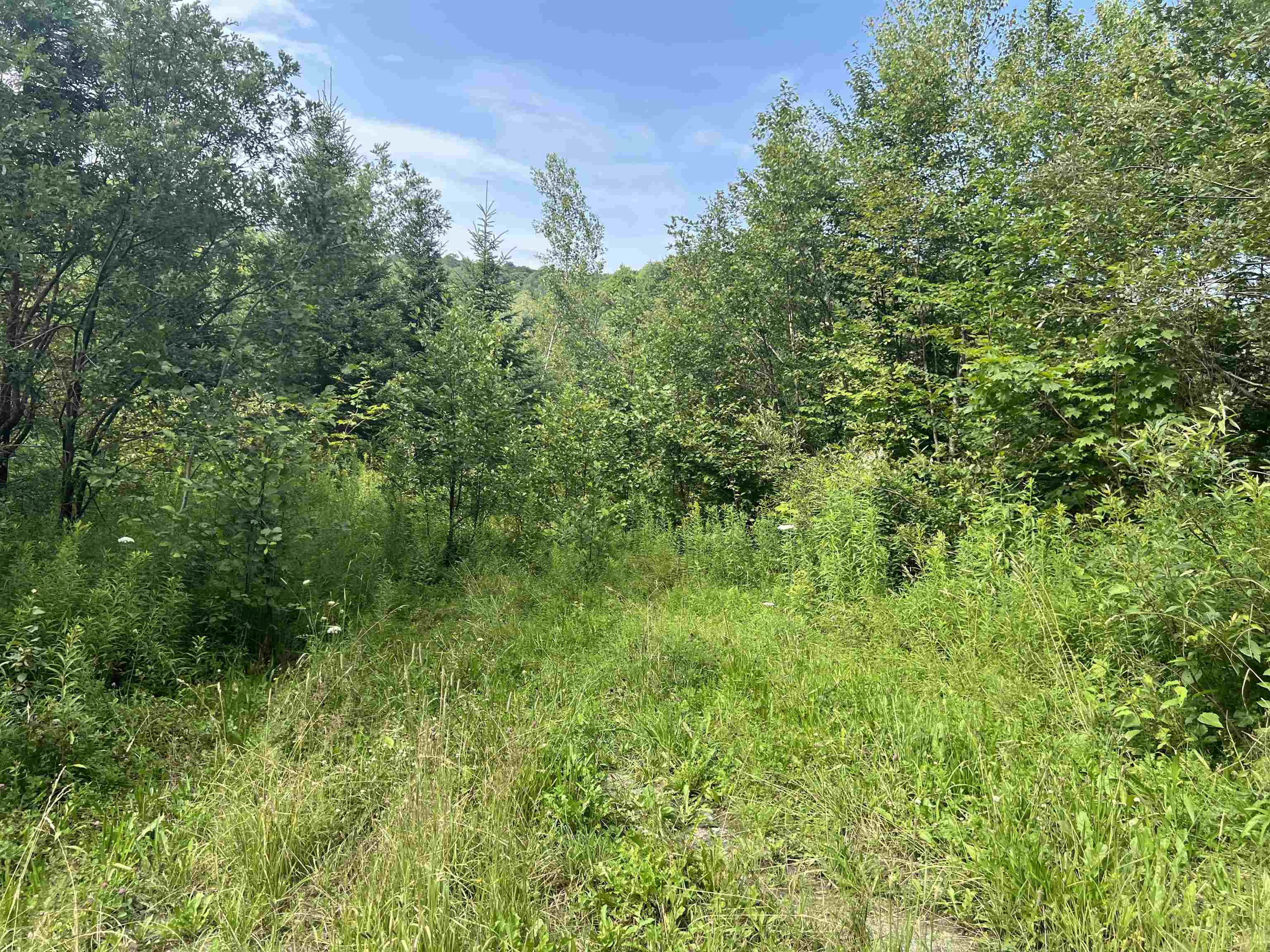 Homes for sale in Albany, VT | 0 Hartwell Pond Rd, Albany, VT 05875 | MLS# 5030441