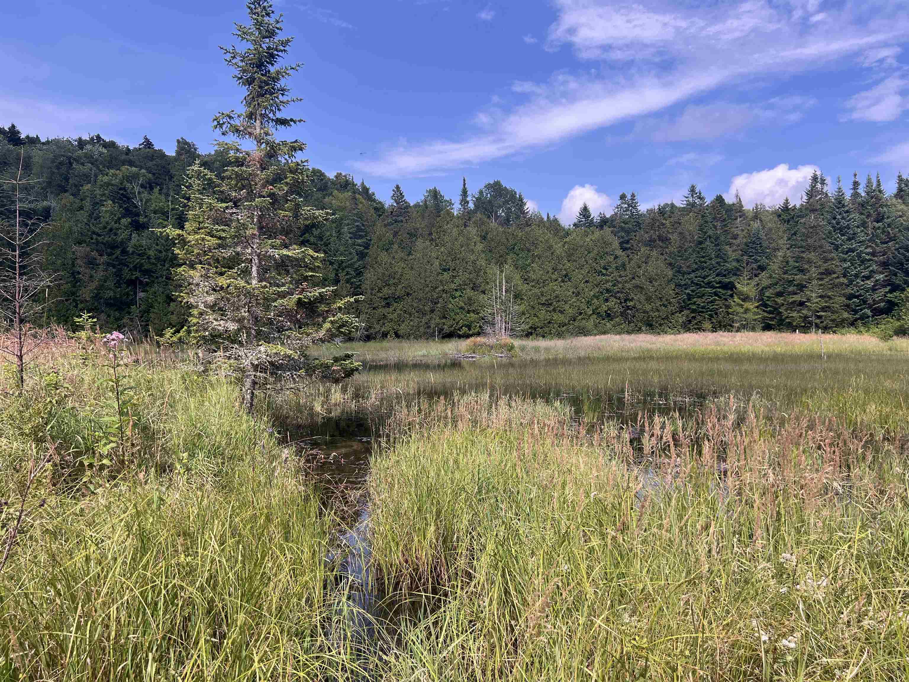 Homes for sale in Albany, VT | 0 Hartwell Pond Rd, Albany, VT 05875 | MLS# 5030441