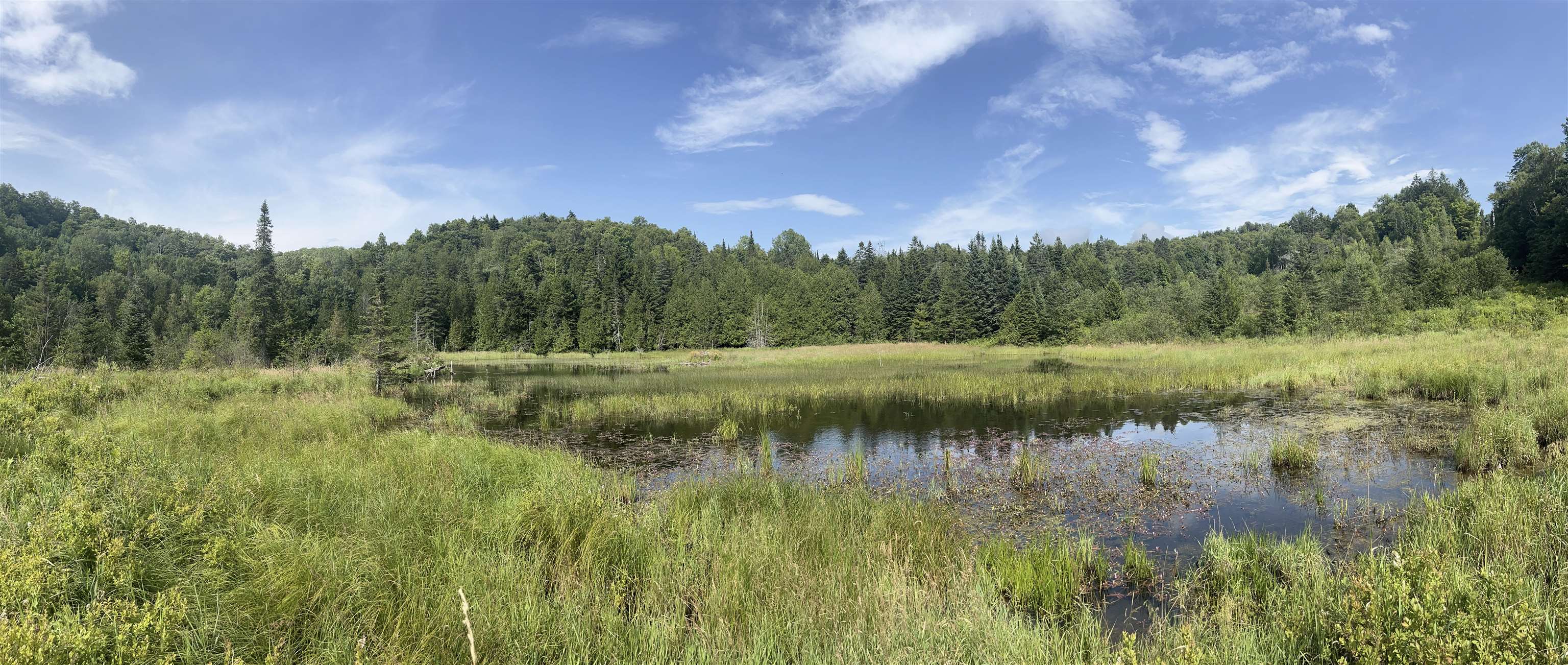 Homes for sale in Albany, VT | 0 Hartwell Pond Rd, Albany, VT 05875 | MLS# 5030441