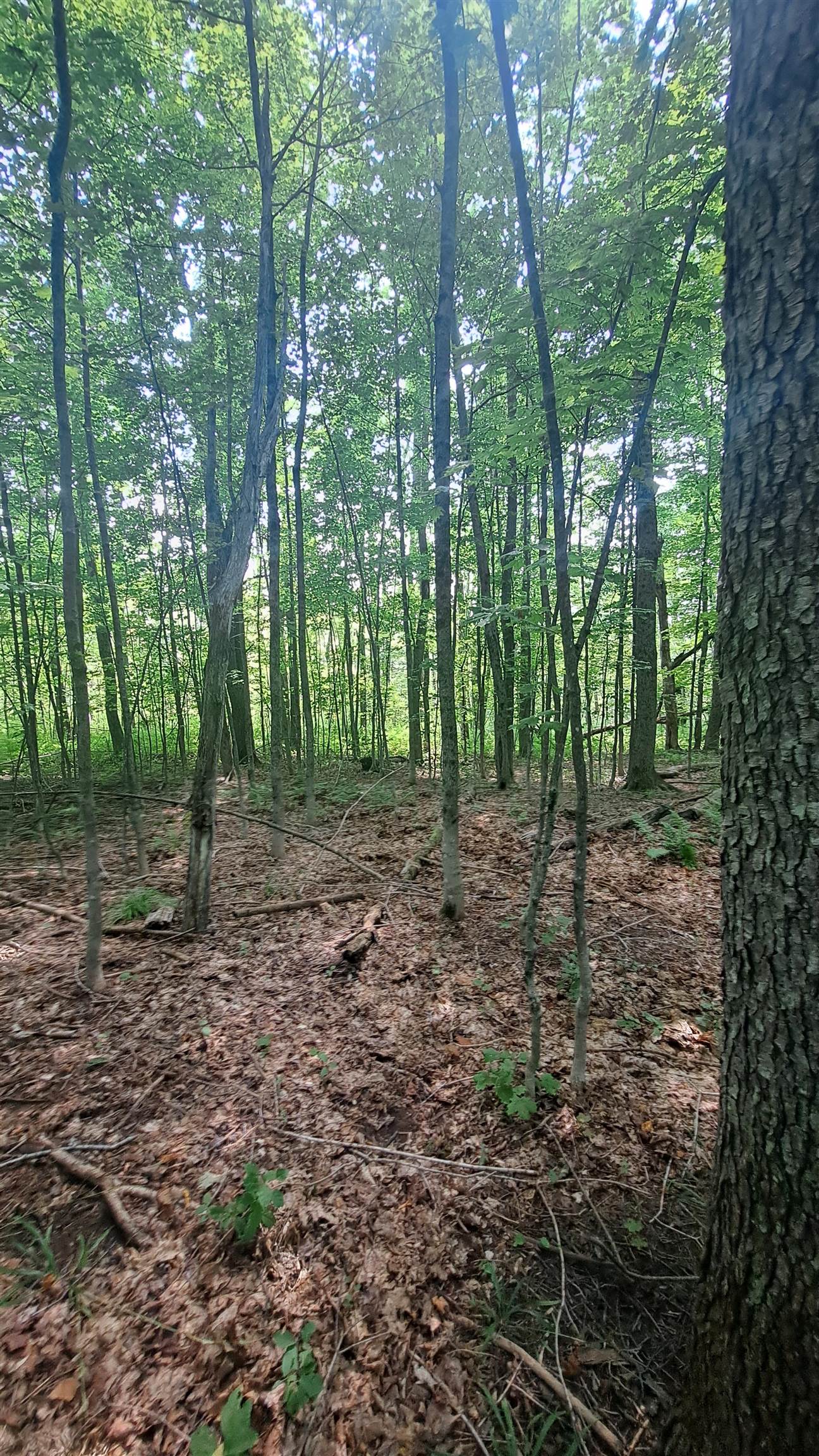 Homes for sale in Dover, VT | 44 Antler Loop, Dover, VT 05356 | MLS# 5030554