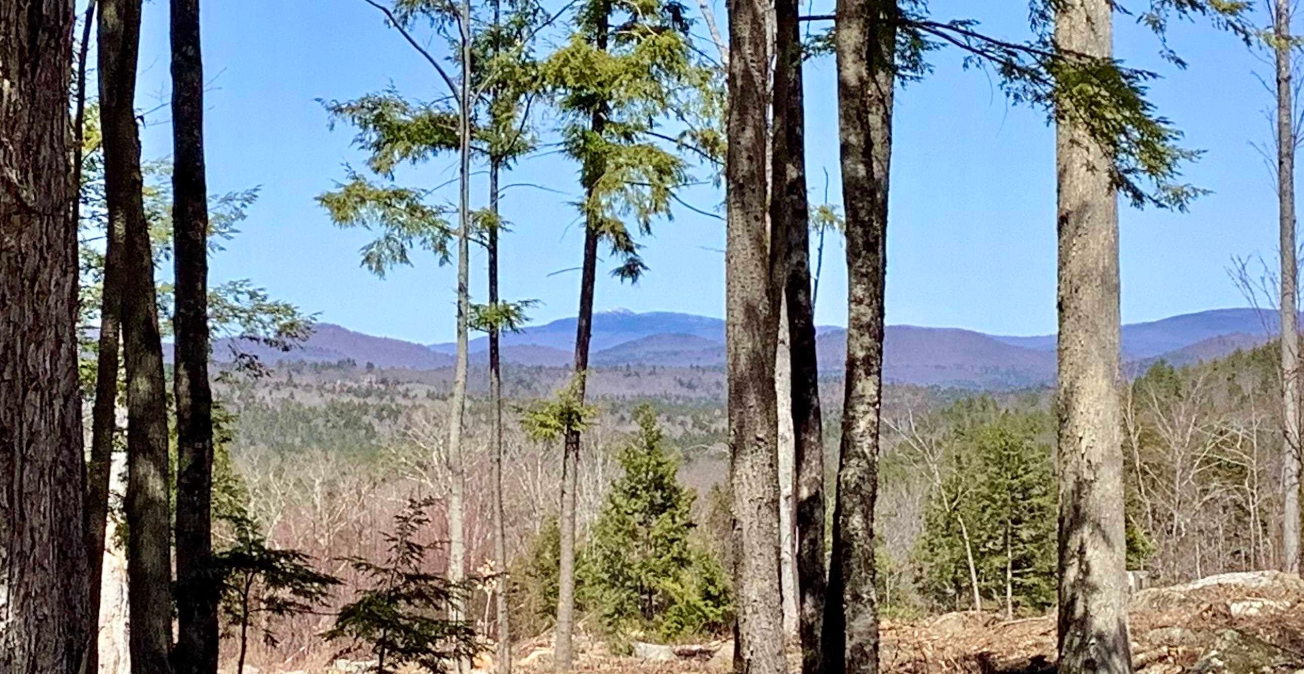 MLS #5030673 image #12