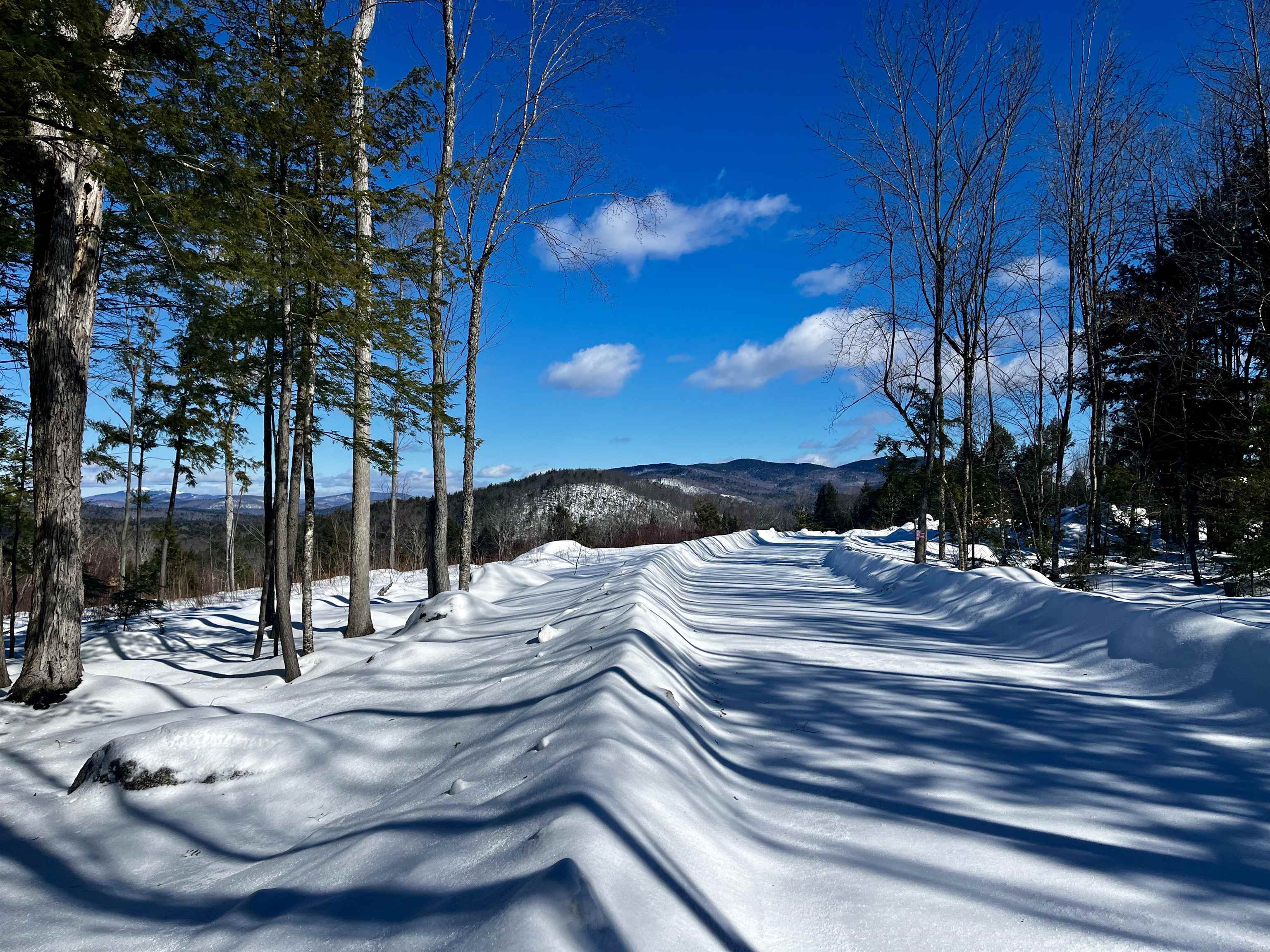 MLS #5030673 image #18