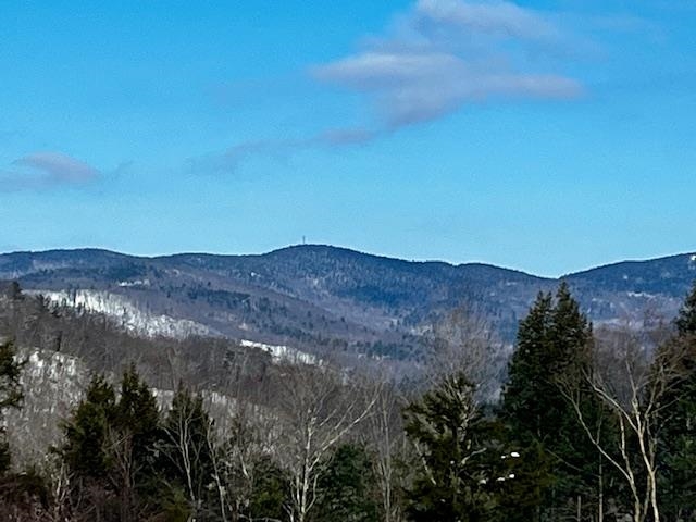 MLS #5030673 image #19