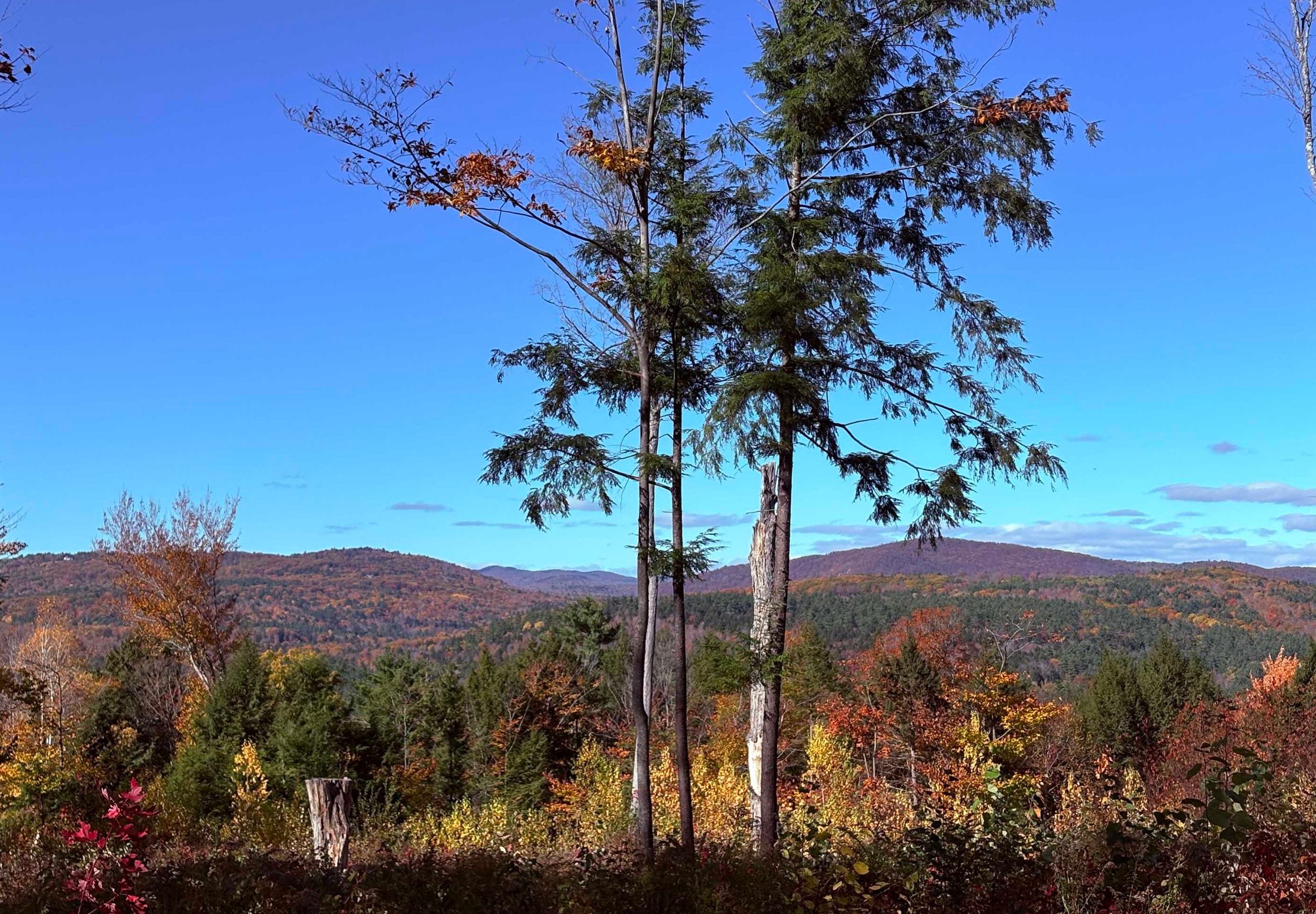 MLS #5030673 image #2