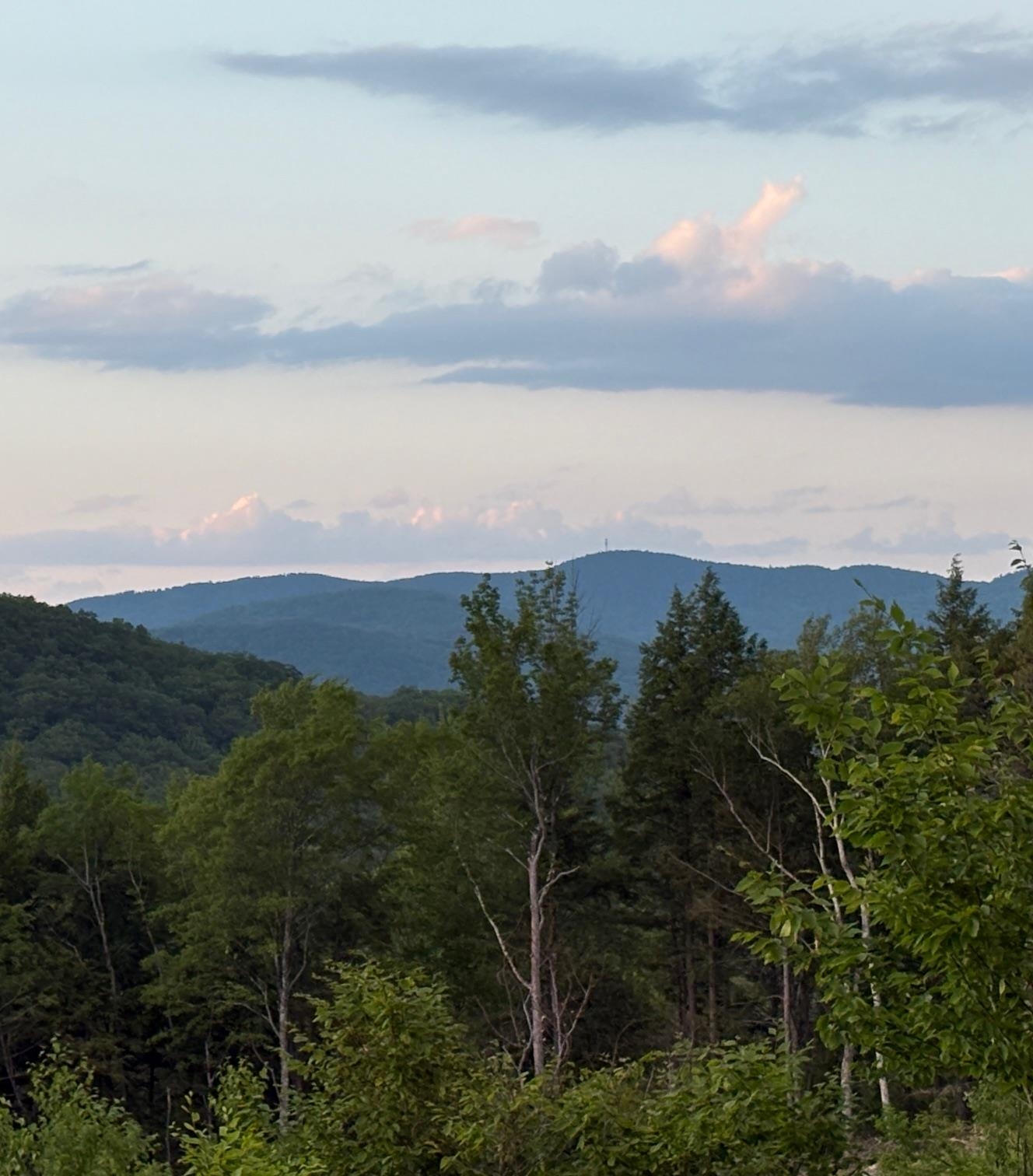 MLS #5030673 image #3