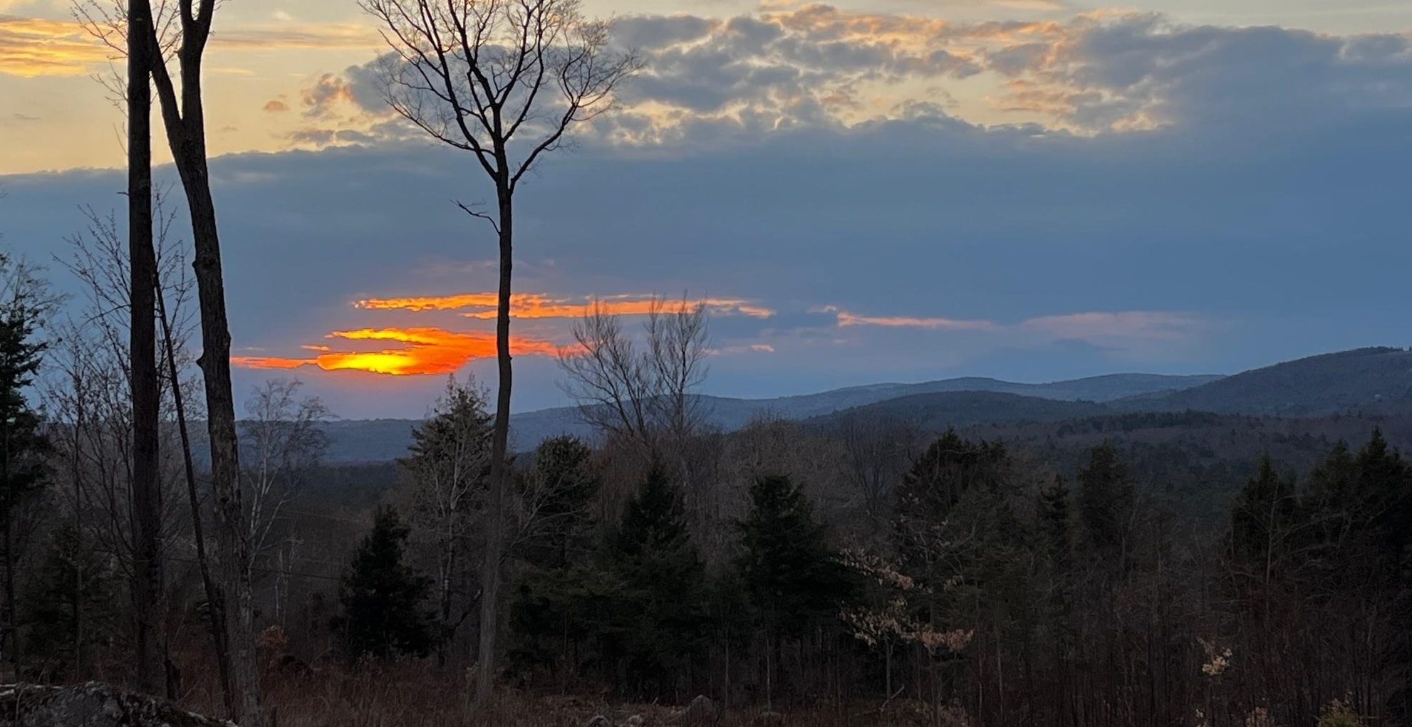 MLS #5030673 image #7