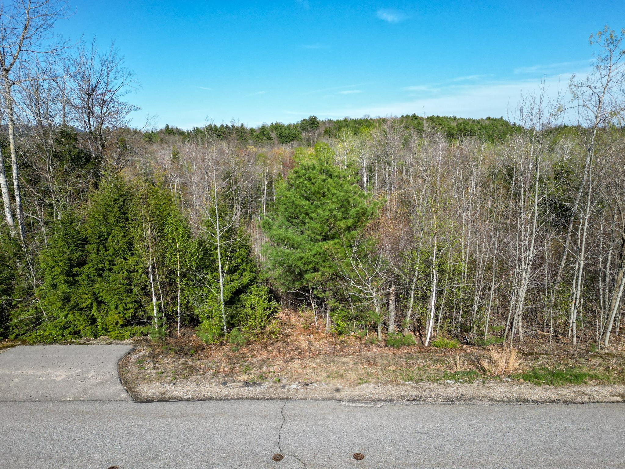 Homes for sale in Conway, NH | 64 Grandview Rd, Conway, NH 03818 | MLS# 5030689