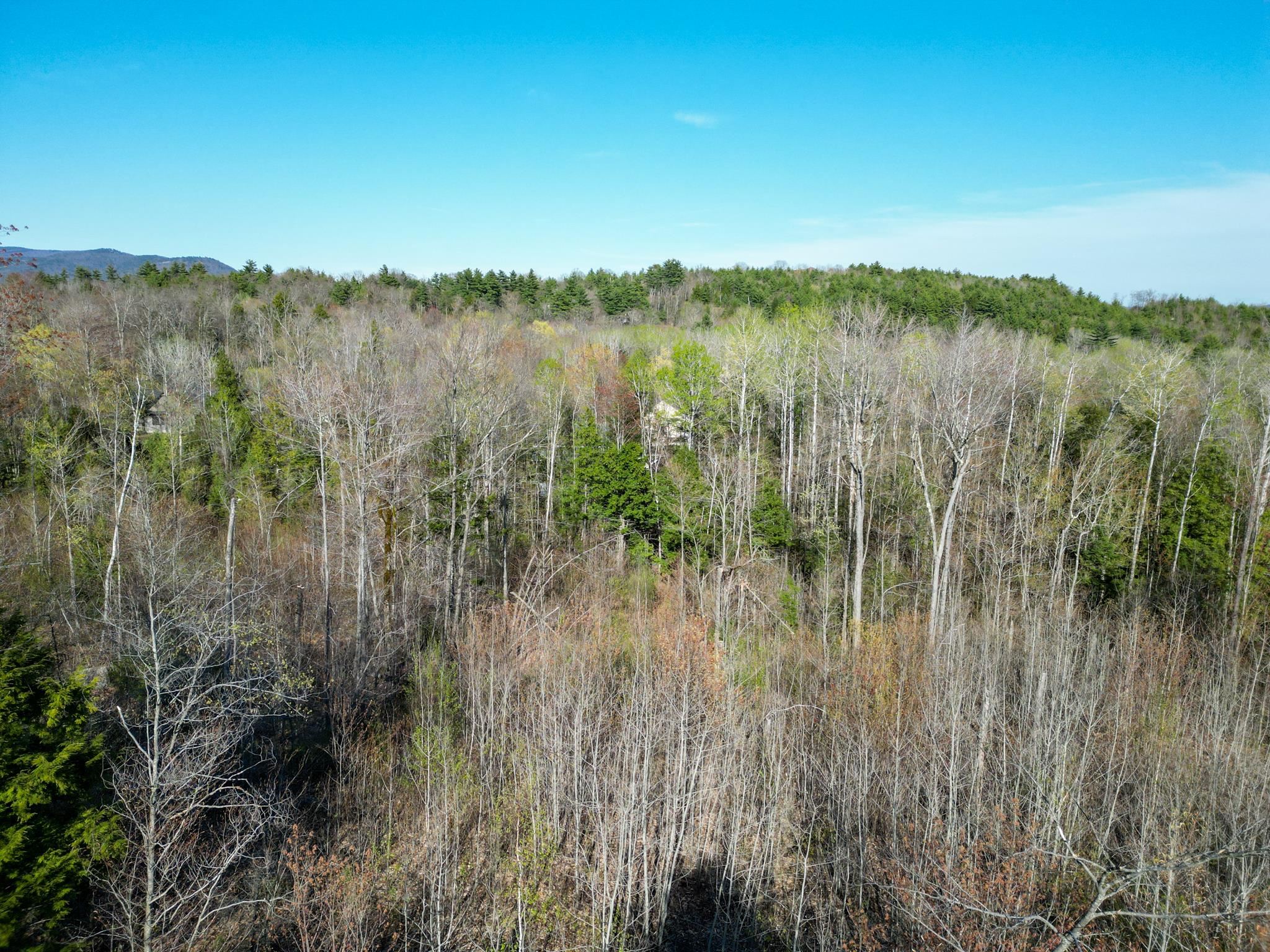 Homes for sale in Conway, NH | 64 Grandview Rd, Conway, NH 03818 | MLS# 5030689