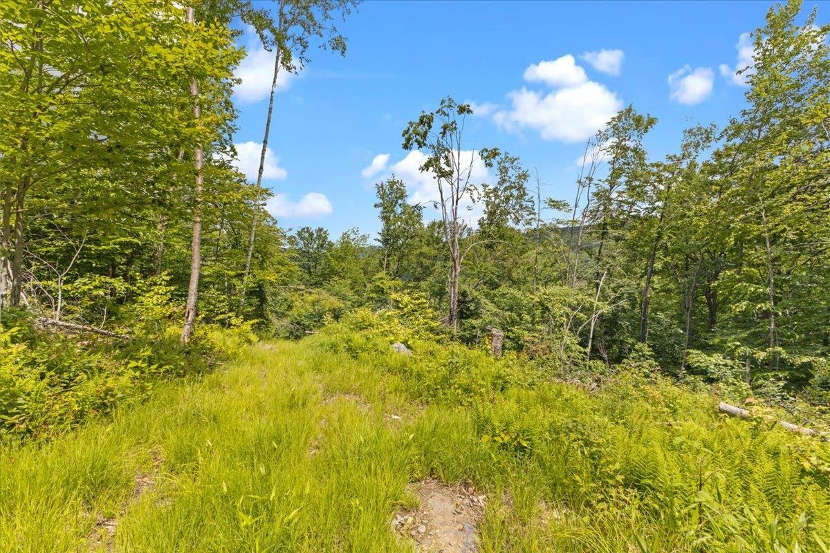 Homes for sale in Duxbury, VT | Lot 1 Marshall Rd, Duxbury, VT 05676 | MLS# 5030824