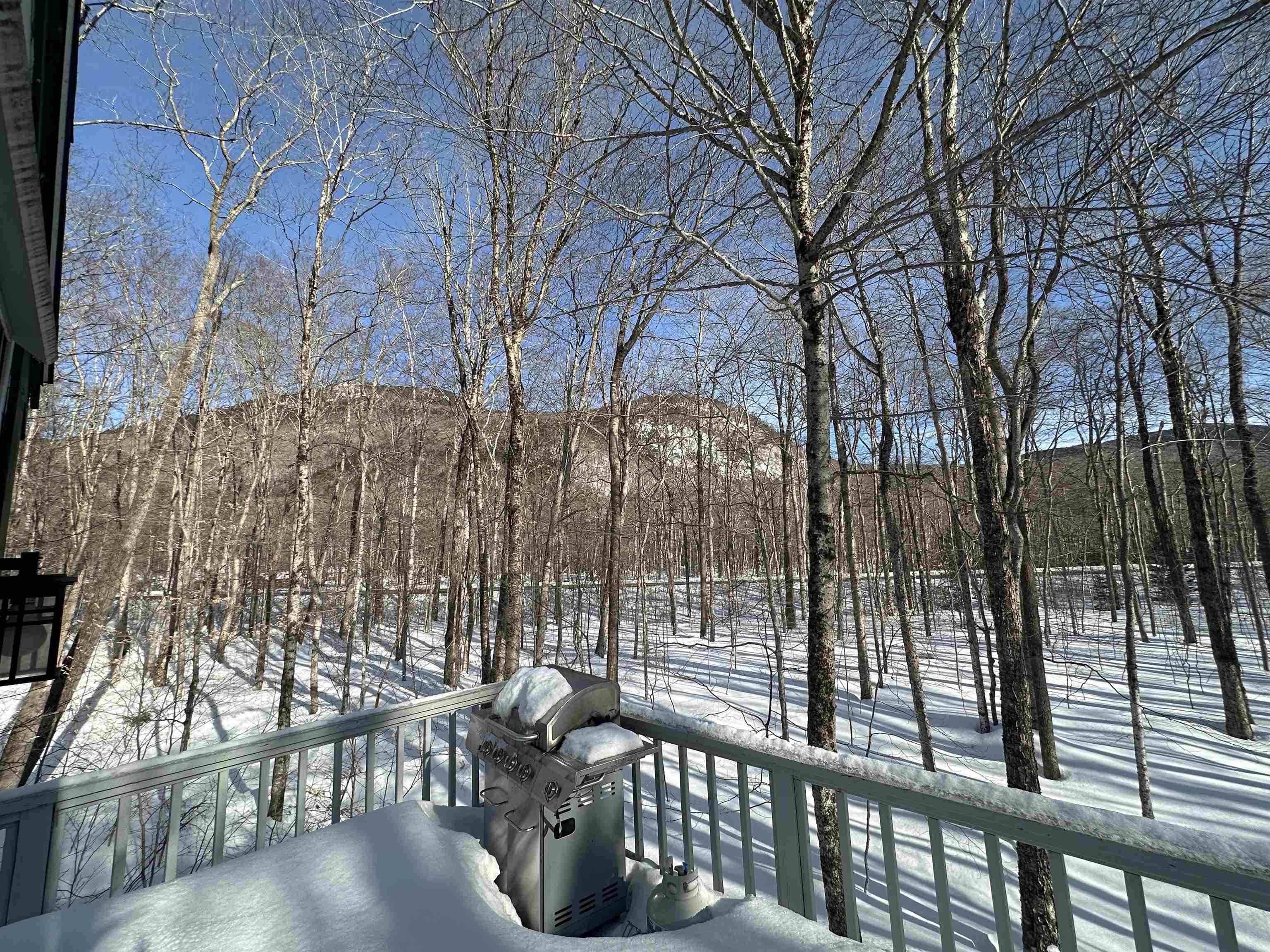 Photo of 91 Burke Road Harts Location NH 03812