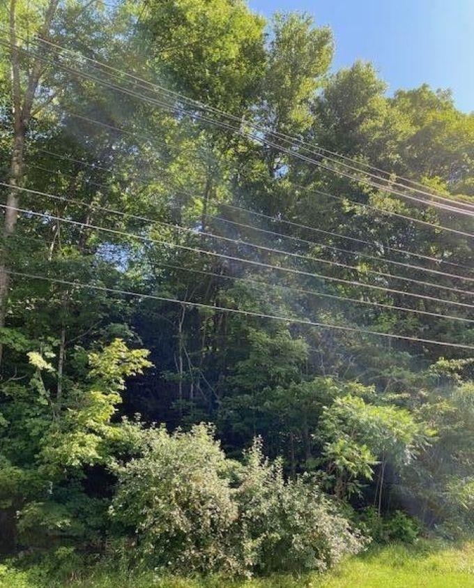 Homes for sale in Monroe, MA | 0 River Rd, Monroe, MA 01350 | MLS# 5030963