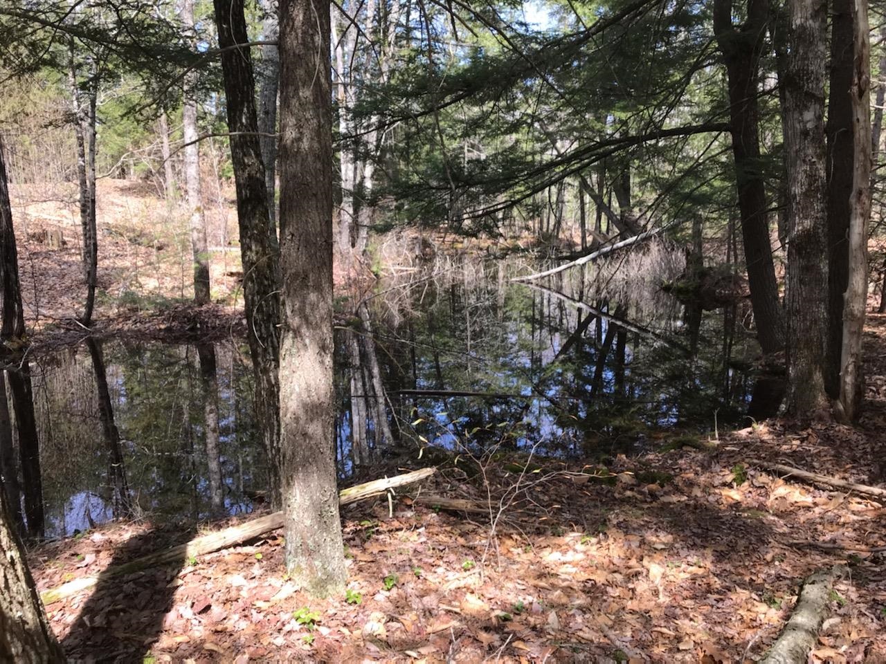 Homes for sale in Milton, NH | 305 Middleton Rd, Milton, NH 03851 | MLS# 5031300